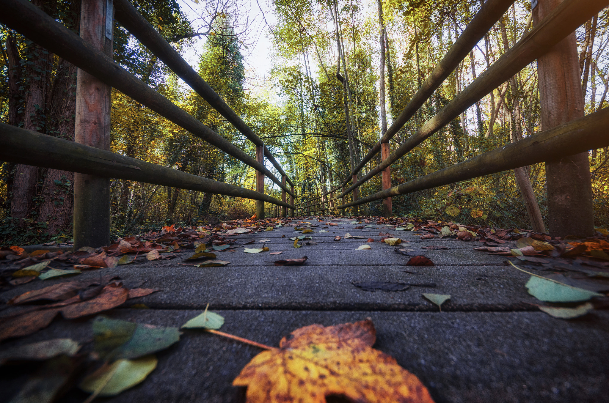 Sigma 8-16mm F4.5-5.6 DC HSM sample photo. Walk this way! photography