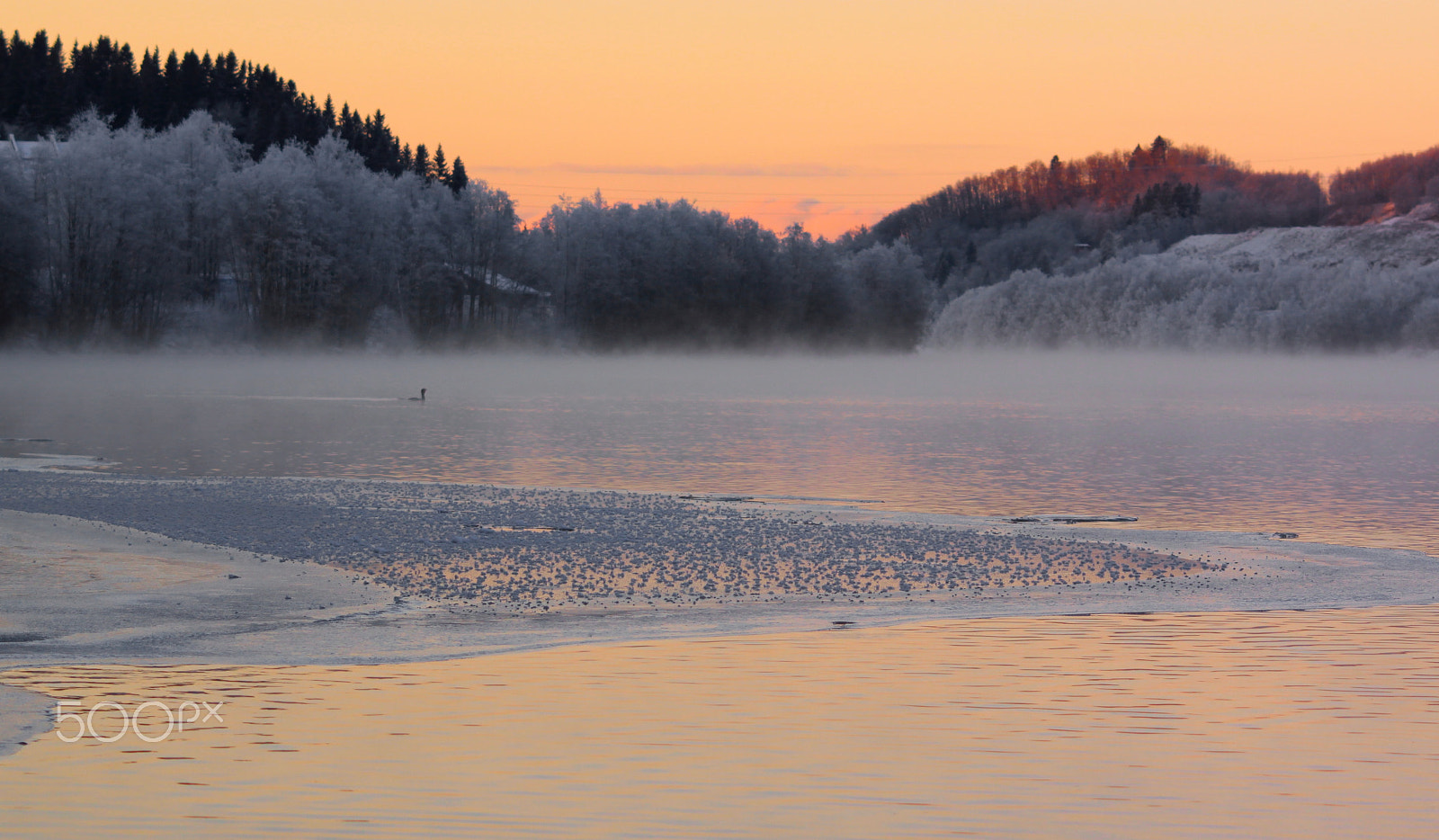 Sigma 70-300mm F4-5.6 APO DG Macro sample photo. Frost photography