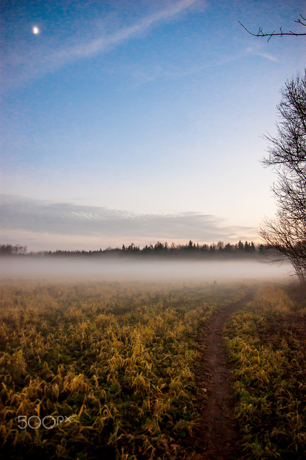 Sony DT 18-250mm F3.5-6.3 sample photo. Fog photography