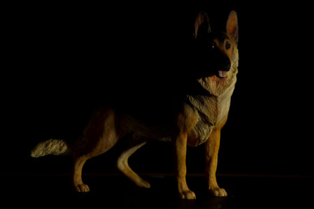 Sony Alpha DSLR-A450 sample photo. Low key german shepherd photography