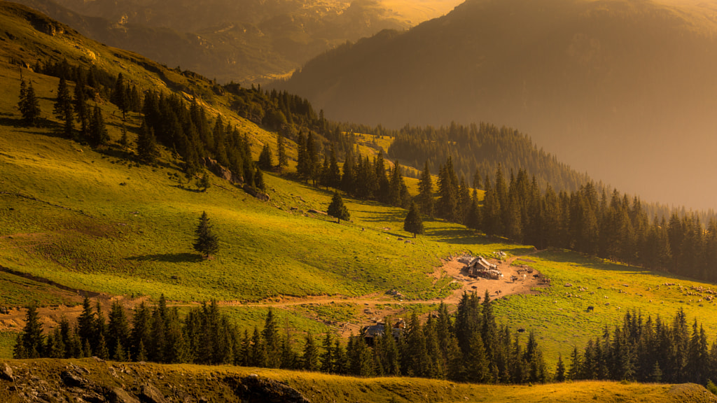 The sheepfold by Mihai Andritoiu on 500px.com