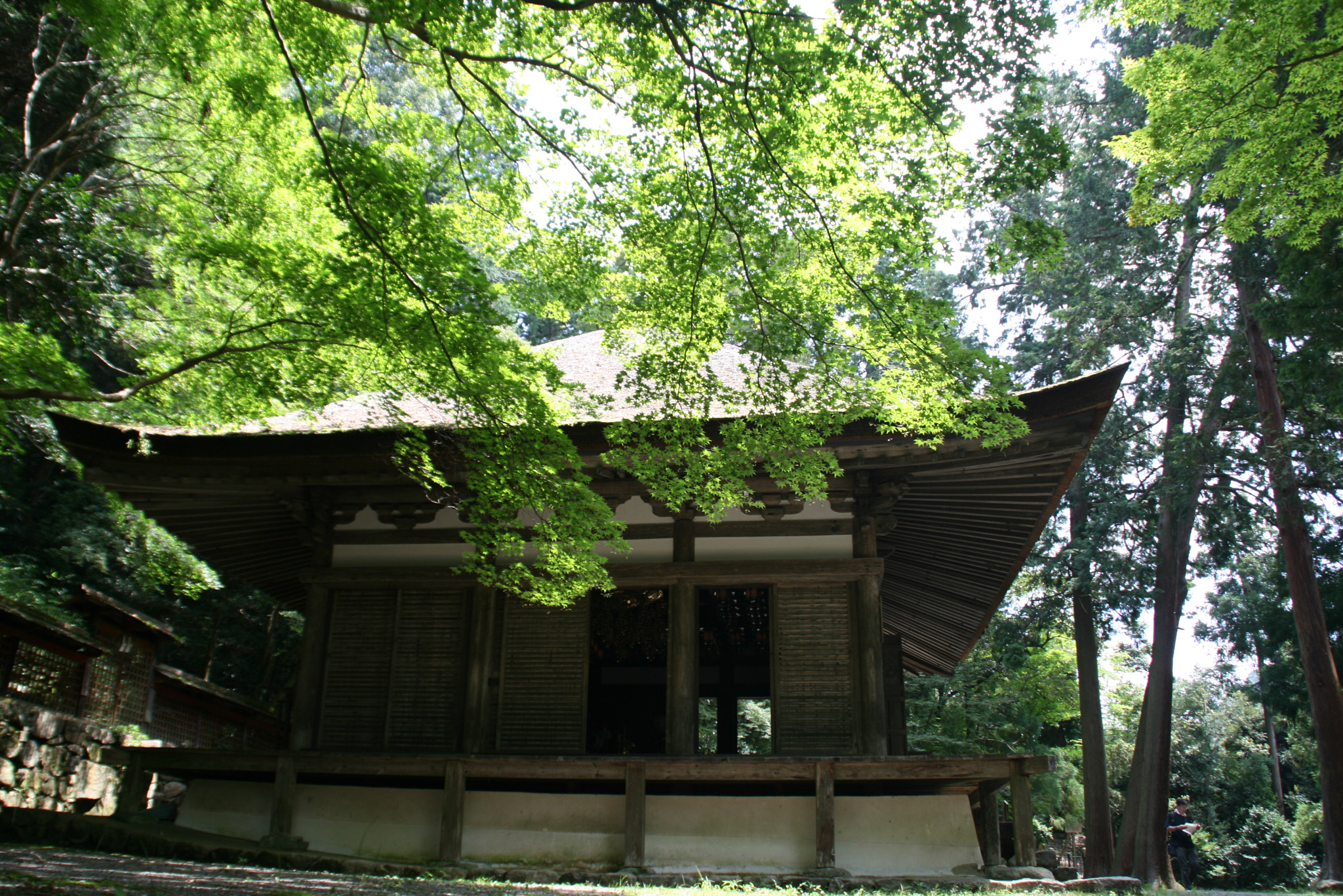 Canon EOS 400D (EOS Digital Rebel XTi / EOS Kiss Digital X) sample photo. An old temple in osaka kanshinji photography