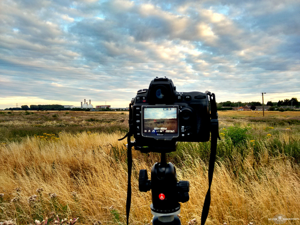 Field