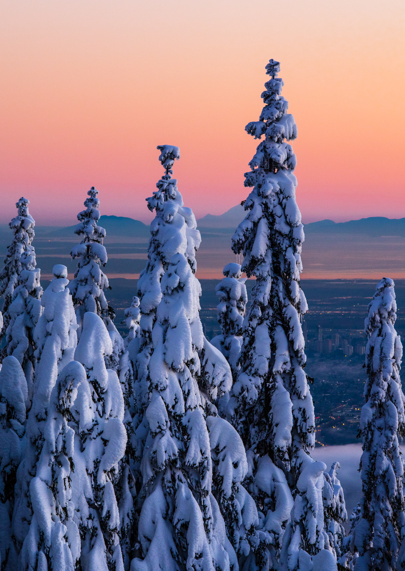 Sigma 150-500mm F5-6.3 DG OS HSM sample photo. Winter sentinel trees at sunset photography