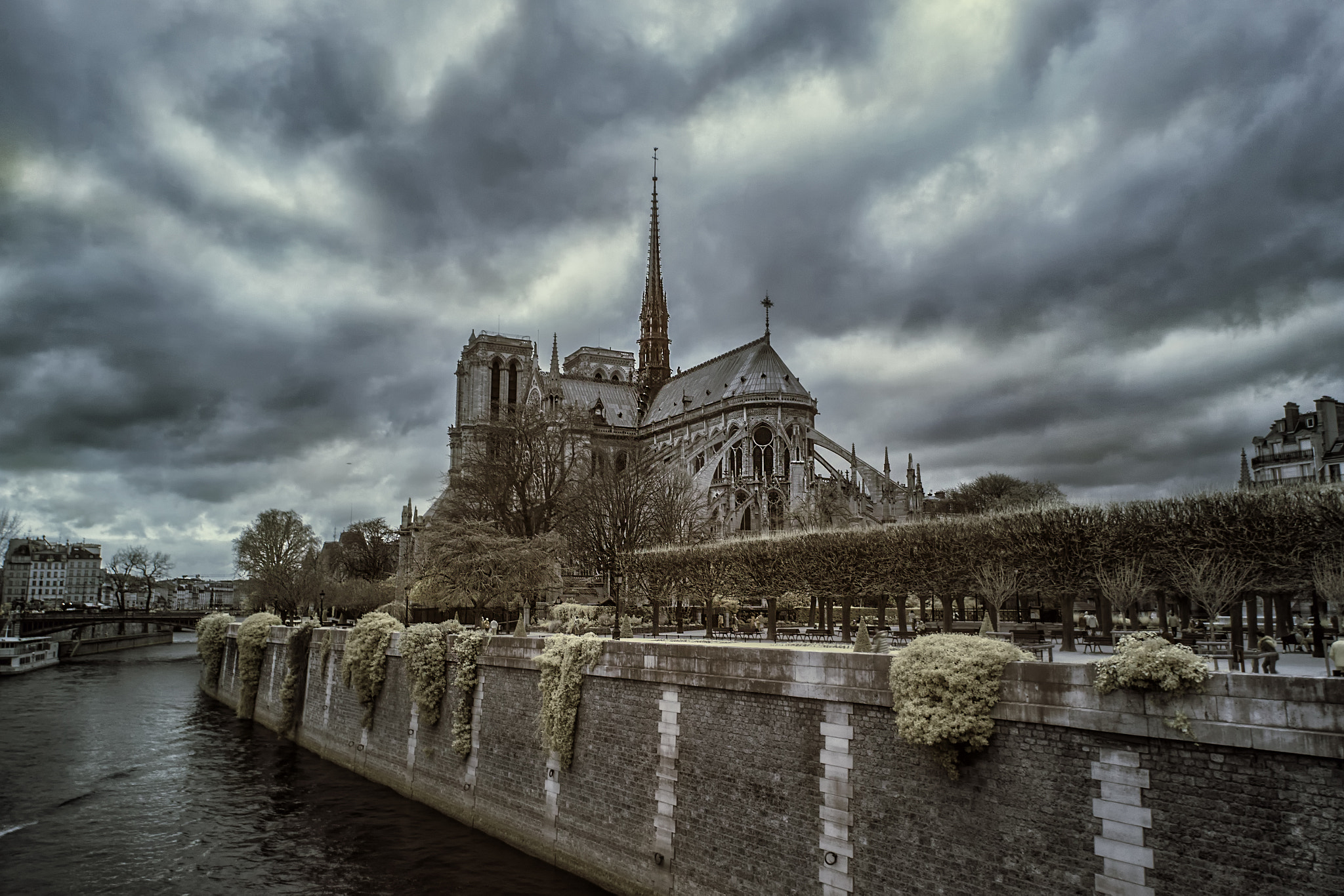Sigma 8-16mm F4.5-5.6 DC HSM sample photo. House of quasimodo !! photography