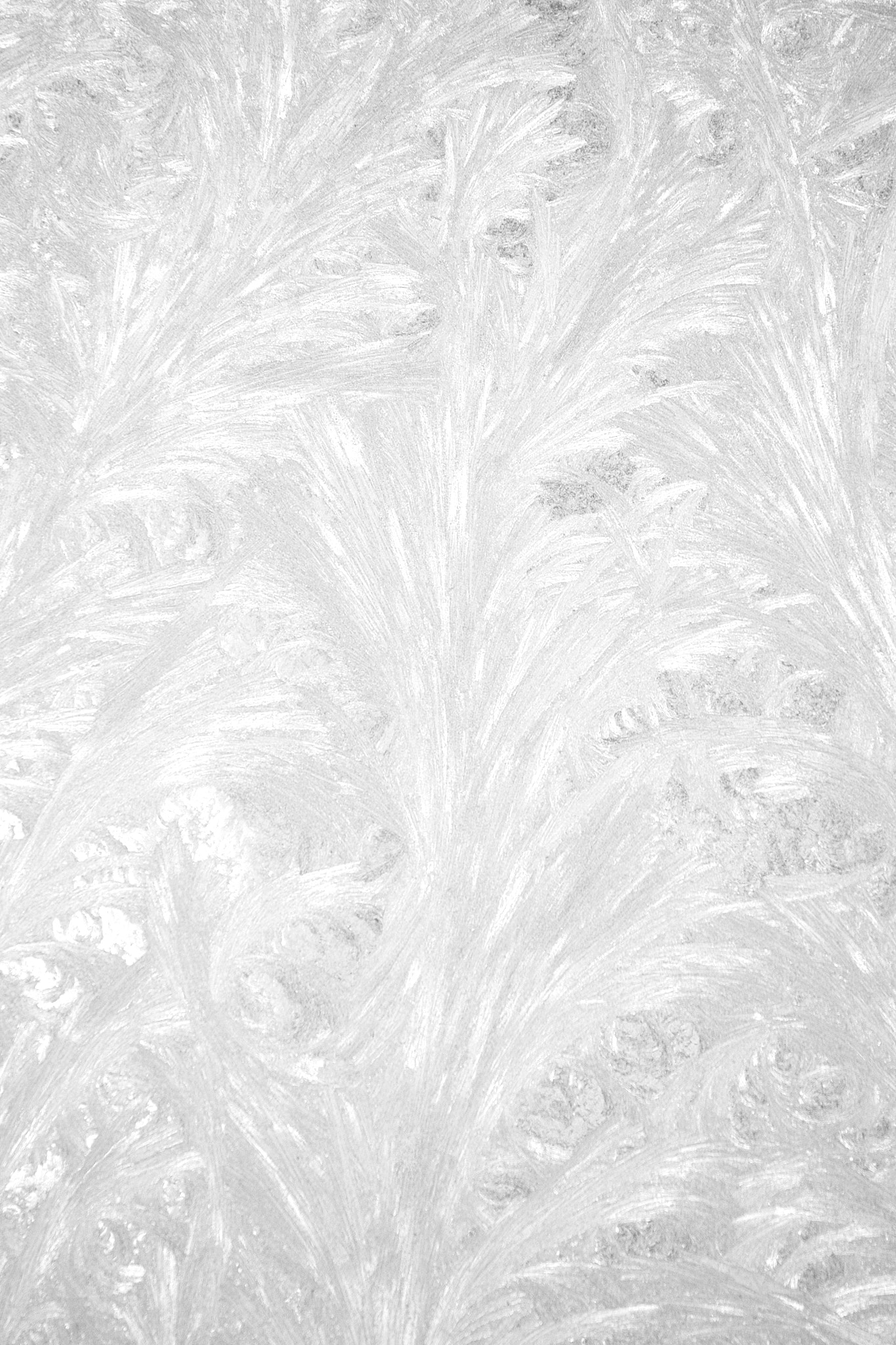 Canon EOS-1D Mark II N sample photo. Ice crystals on glass photography