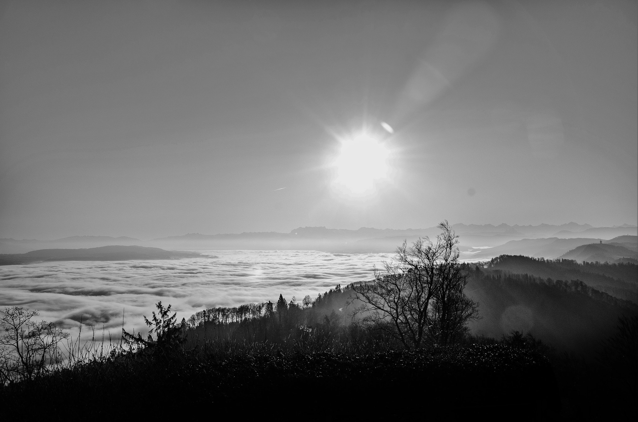 Nikon D7000 + Nikon PC-E Nikkor 24mm F3.5D ED Tilt-Shift sample photo. Carpet of fog photography