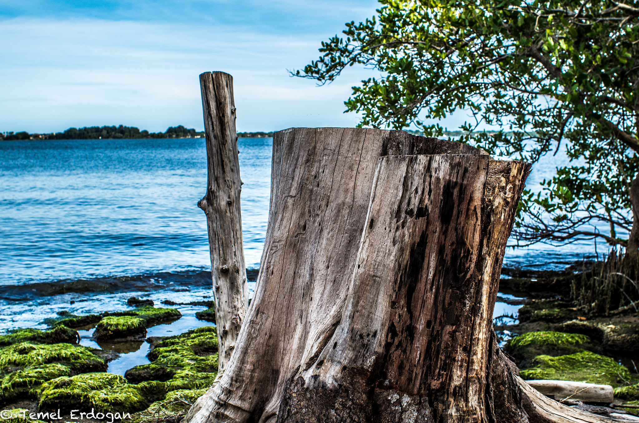 Pentax K-30 + A Series Lens sample photo. A stump with  view! photography