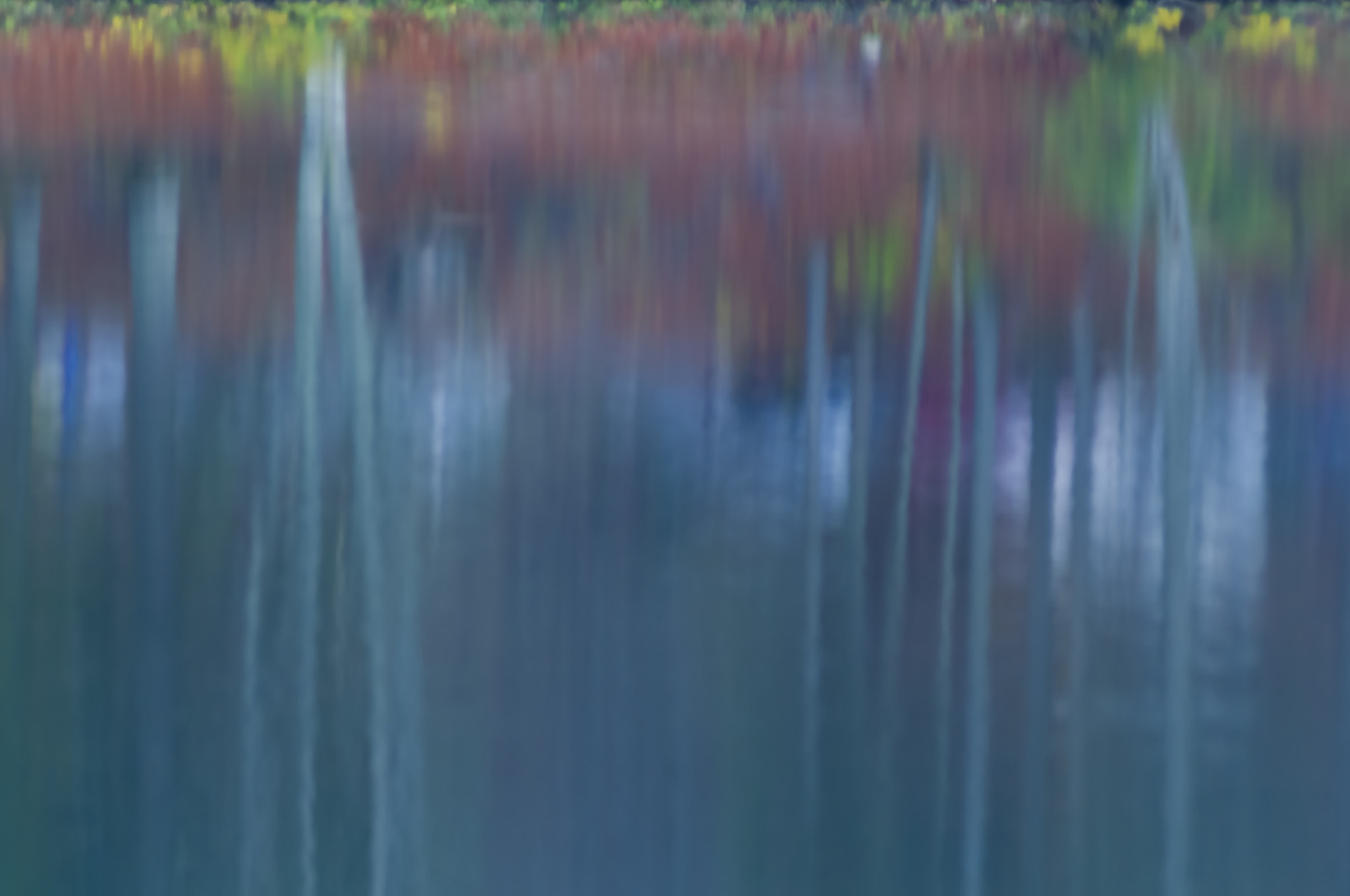AF Zoom-Nikkor 80-200mm f/2.8 ED sample photo. Evanescent reflections photography