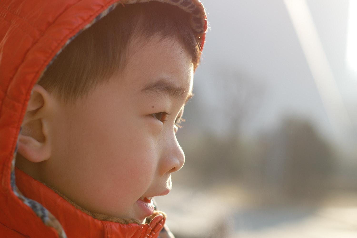 DA*55mmF1.4 SDM,smc PENTAX-DA*55mmF1.4 SDM sample photo. 萌娃子 photography