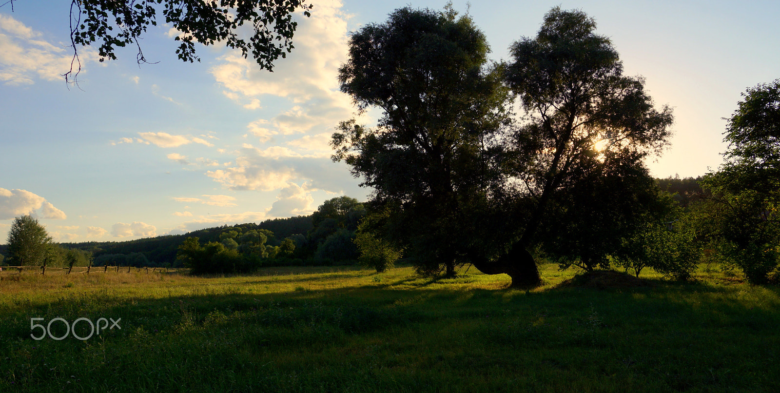 Sony SLT-A65 (SLT-A65V) sample photo