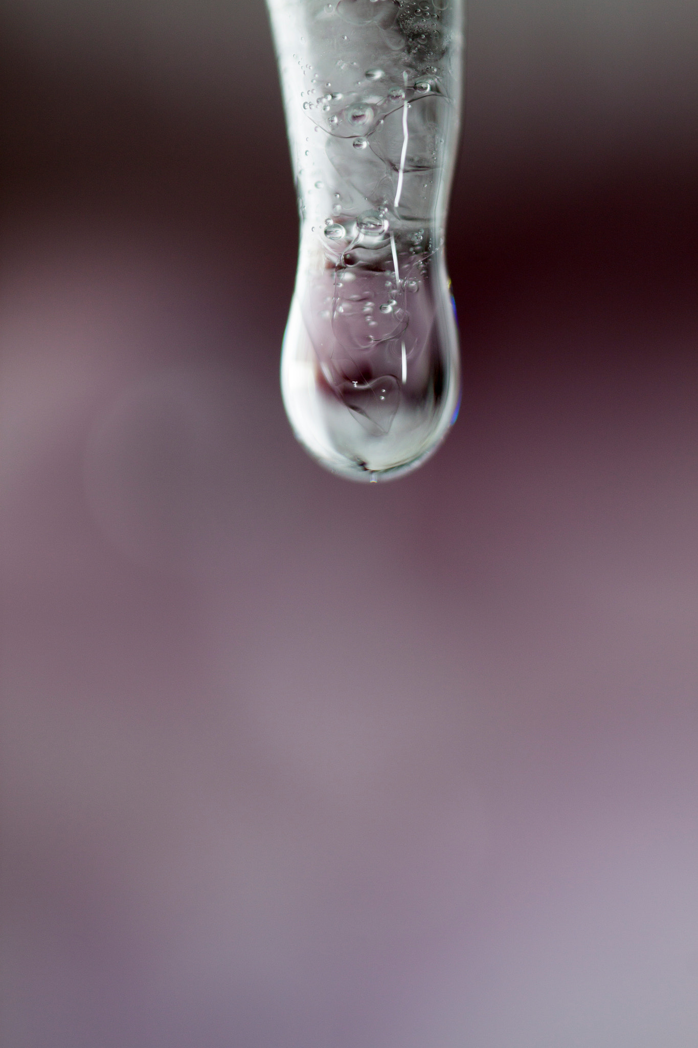 Canon MP-E 65mm F2.5 1-5x Macro Photo sample photo. Degelo photography