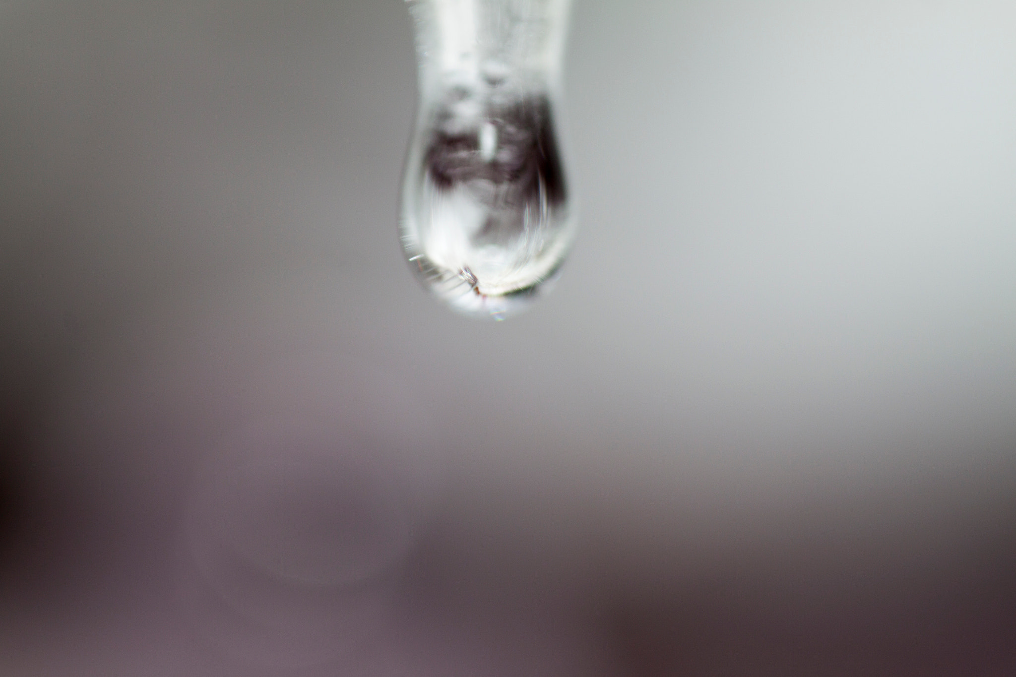 Canon MP-E 65mm F2.5 1-5x Macro Photo sample photo. Water drop photography