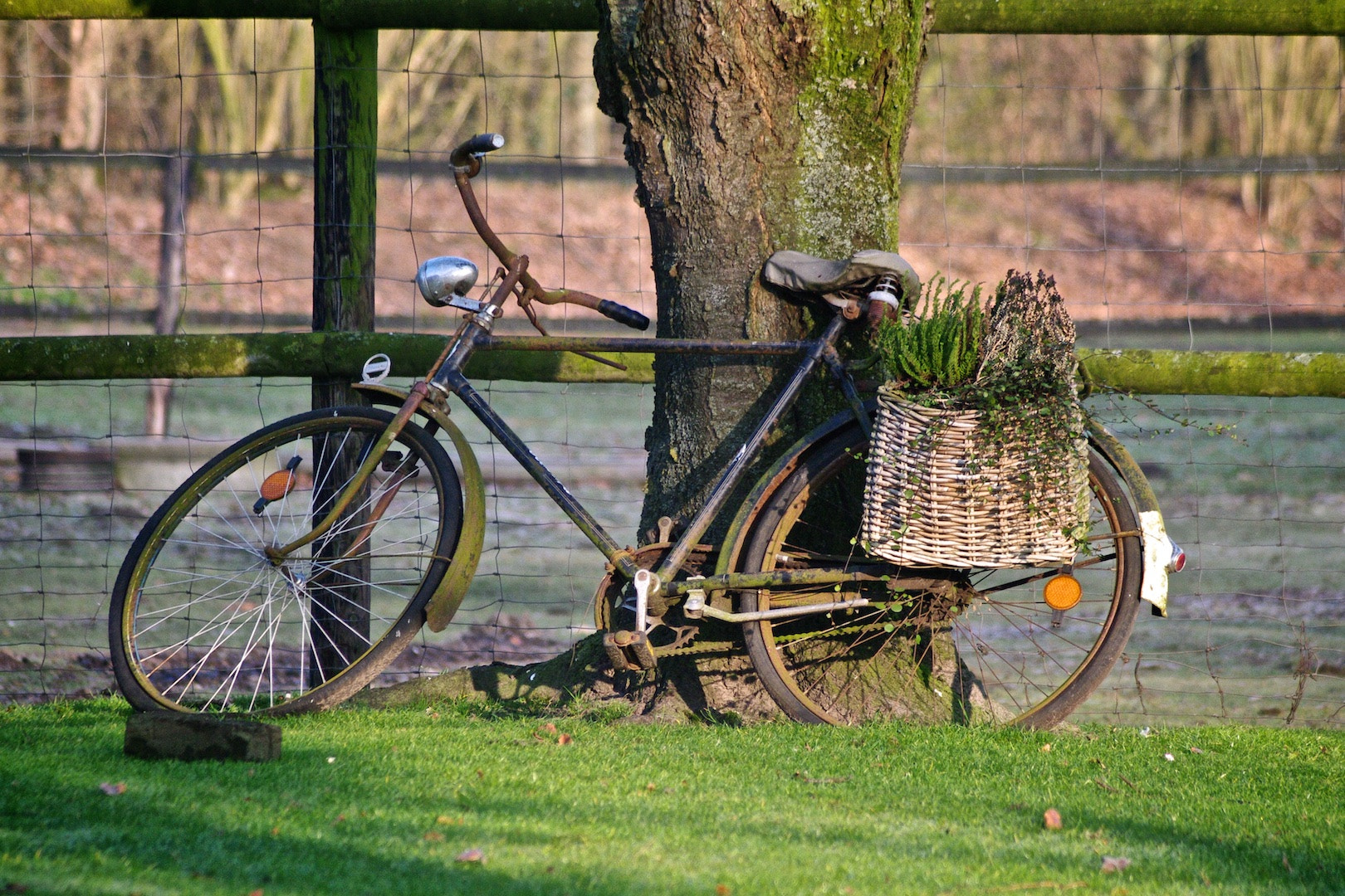 Pentax K-7 + smc PENTAX-F 80-200mm F4.7-5.6 sample photo. Old bike photography