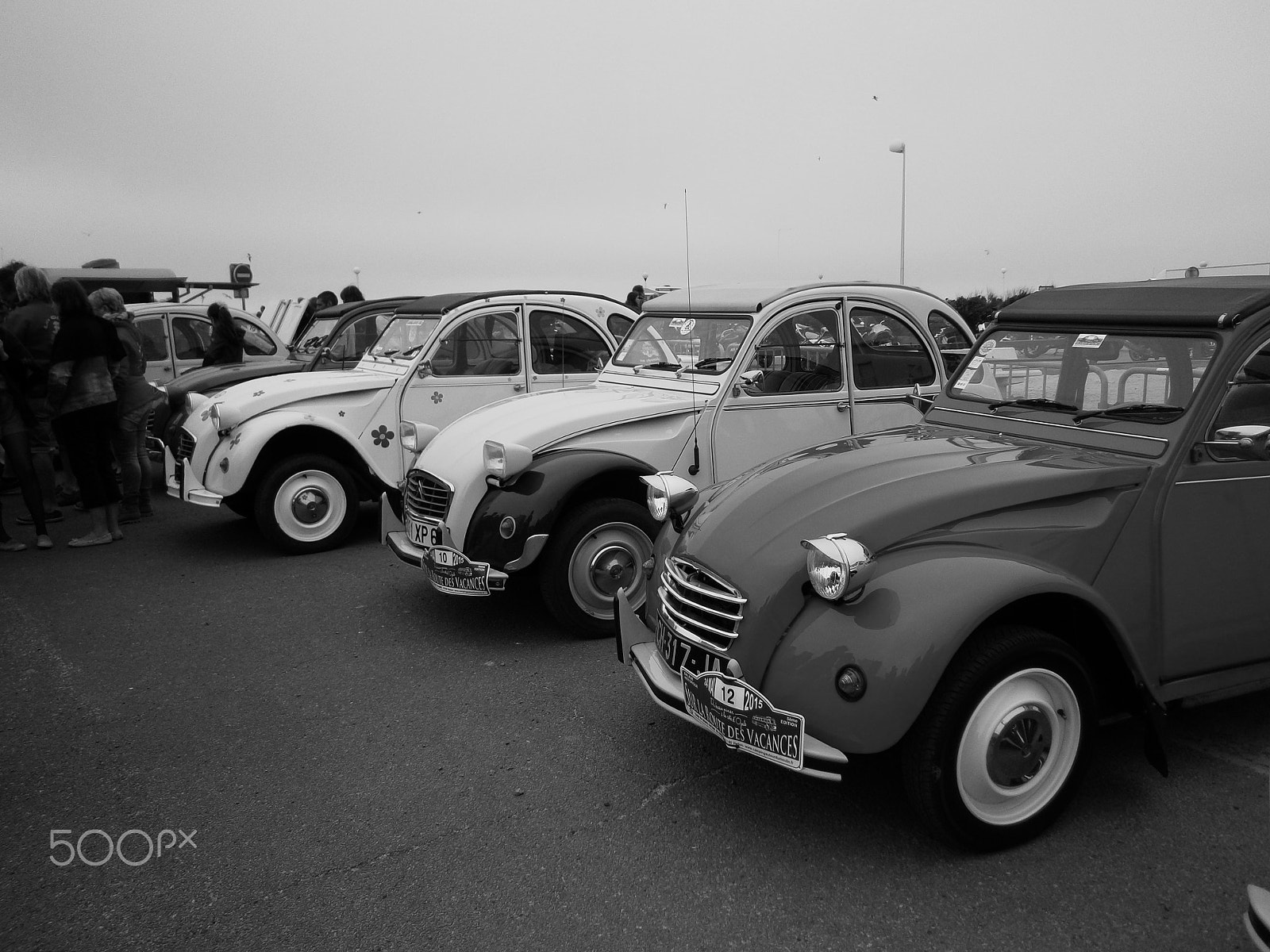 Olympus VG130,D710 sample photo. Les 3 belles photography