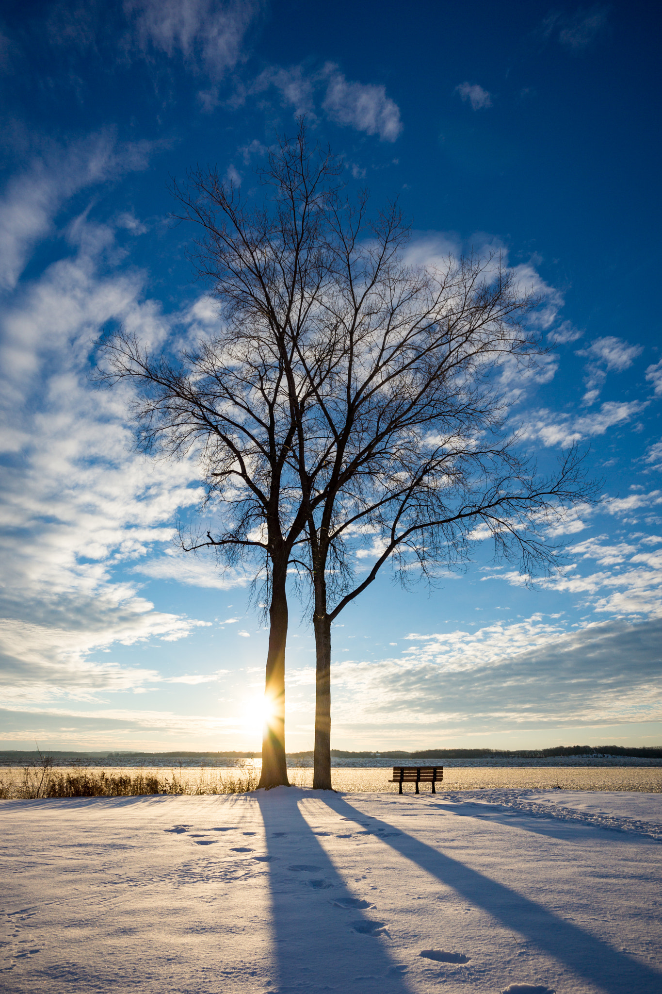 ZEISS Touit 12mm F2.8 sample photo. Lake waubesa photography
