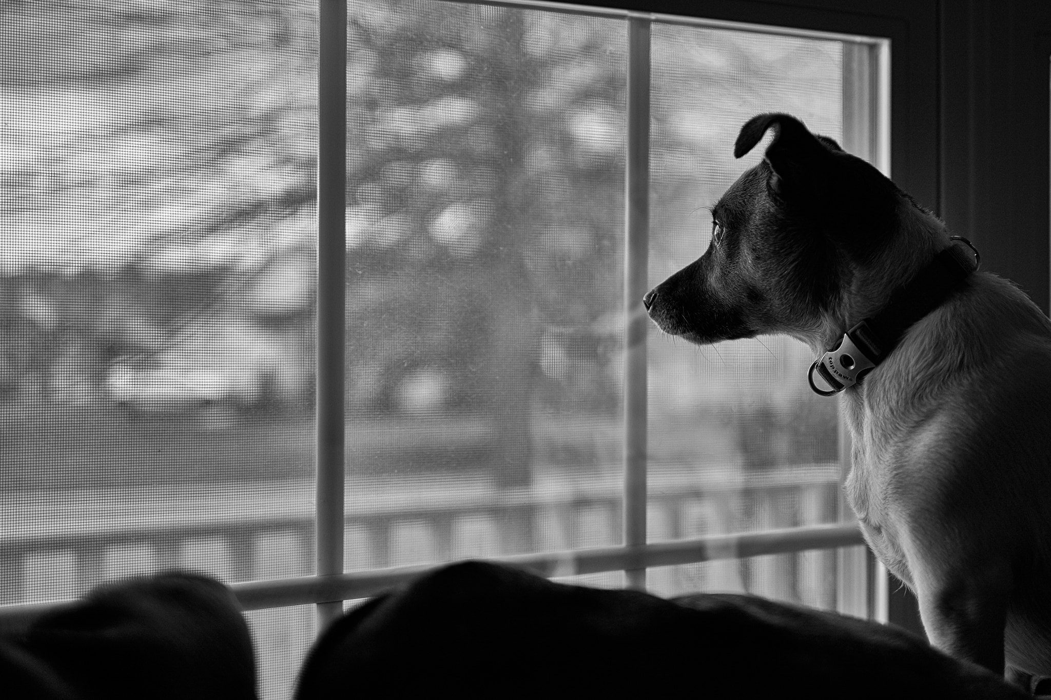 E 35mm F2 sample photo. Waiting photography