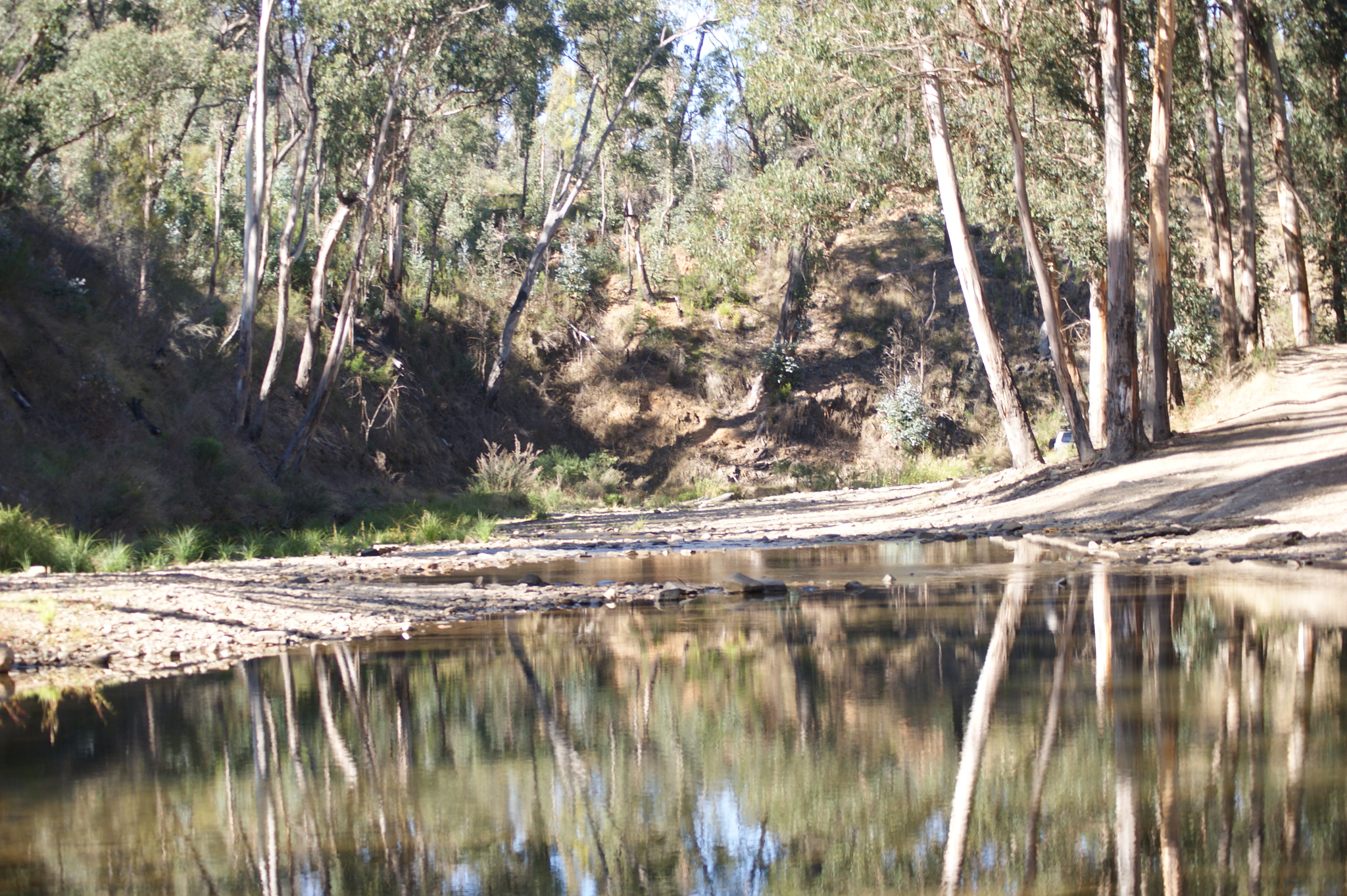 Sony Alpha DSLR-A390 sample photo. The victorian high country: a photographic journey photography