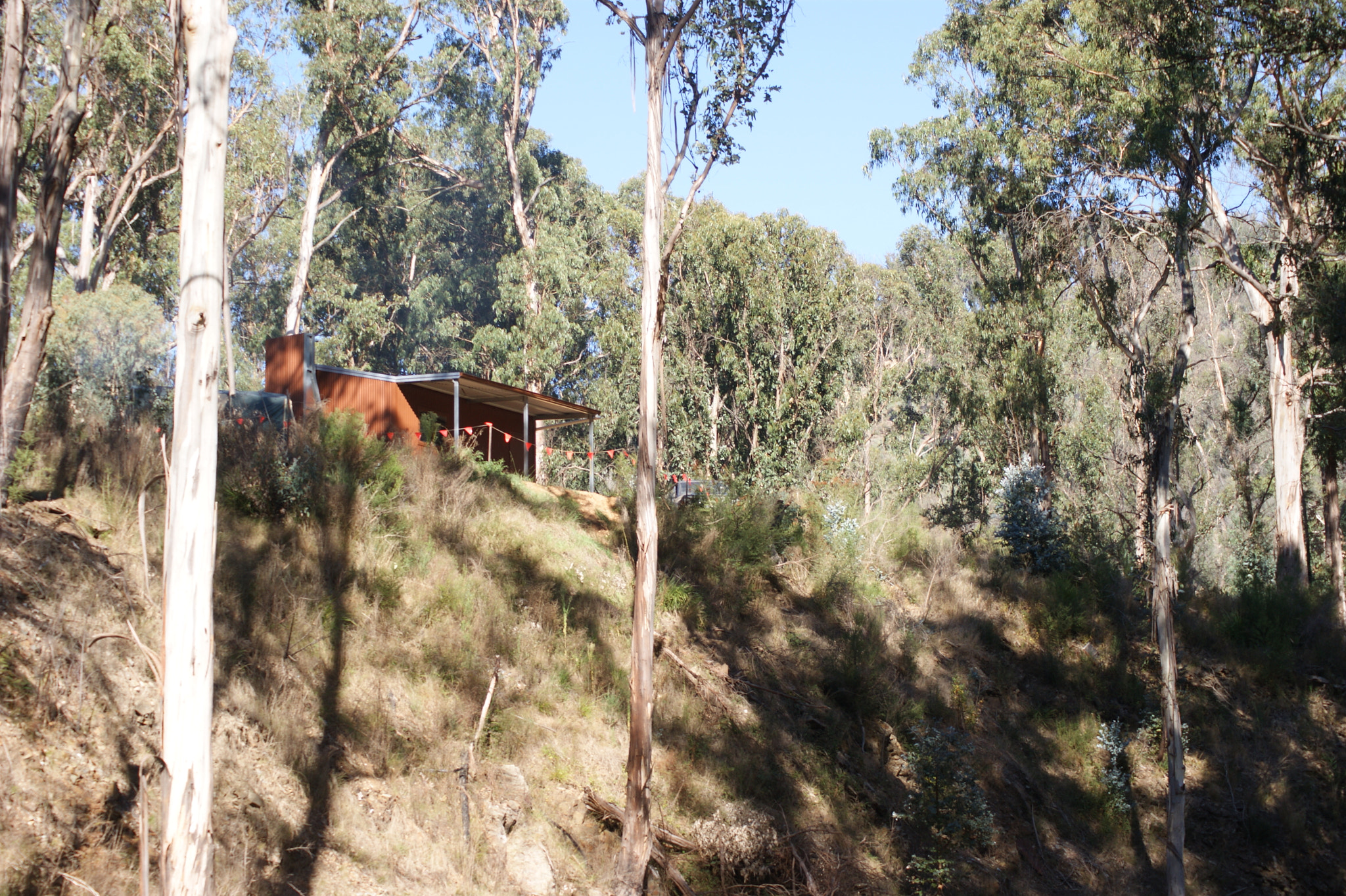 Sony Alpha DSLR-A390 sample photo. The victorian high country: a photographic journey photography