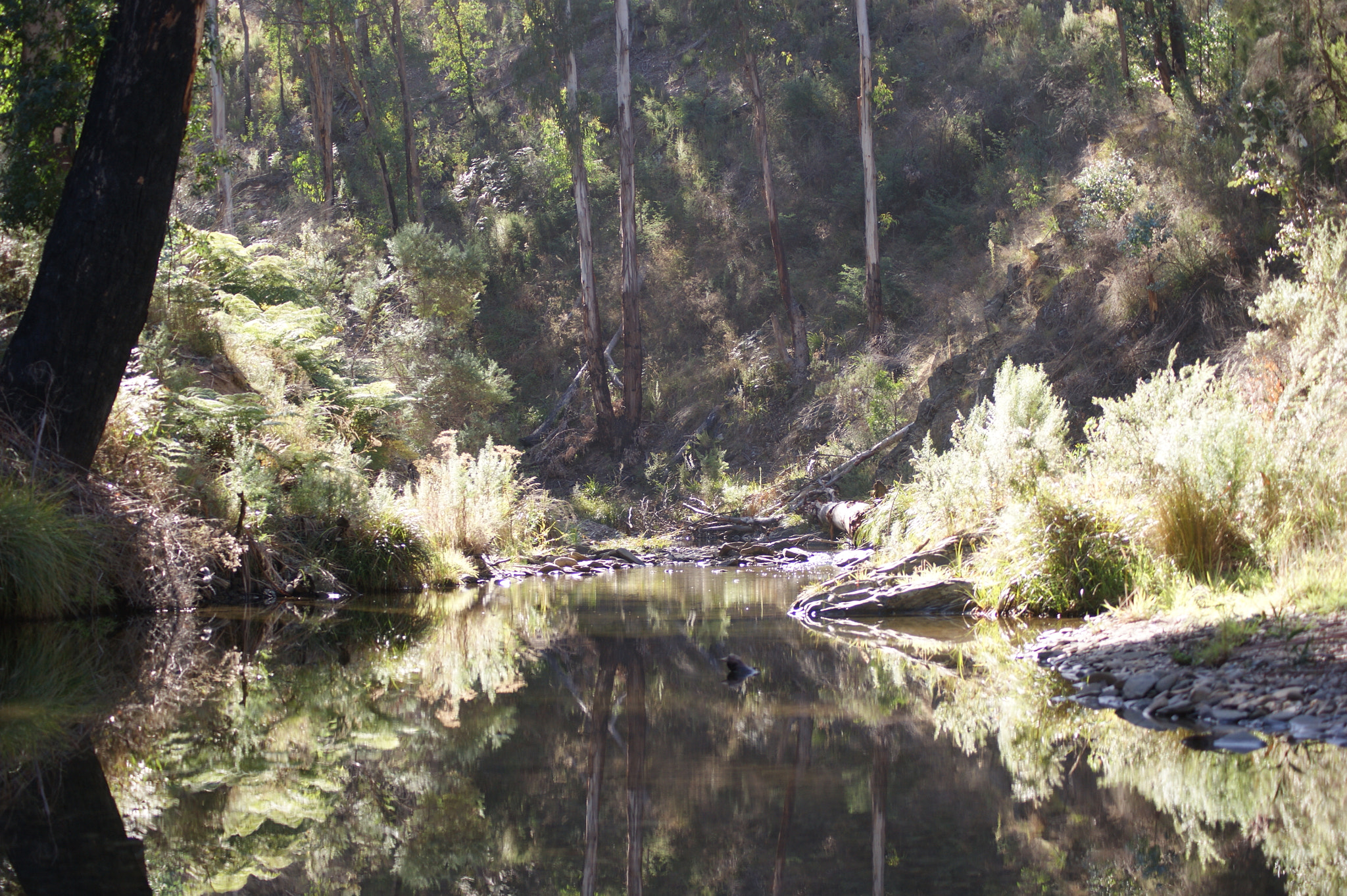 Sony Alpha DSLR-A390 sample photo. The victorian high country: a photographic journey photography