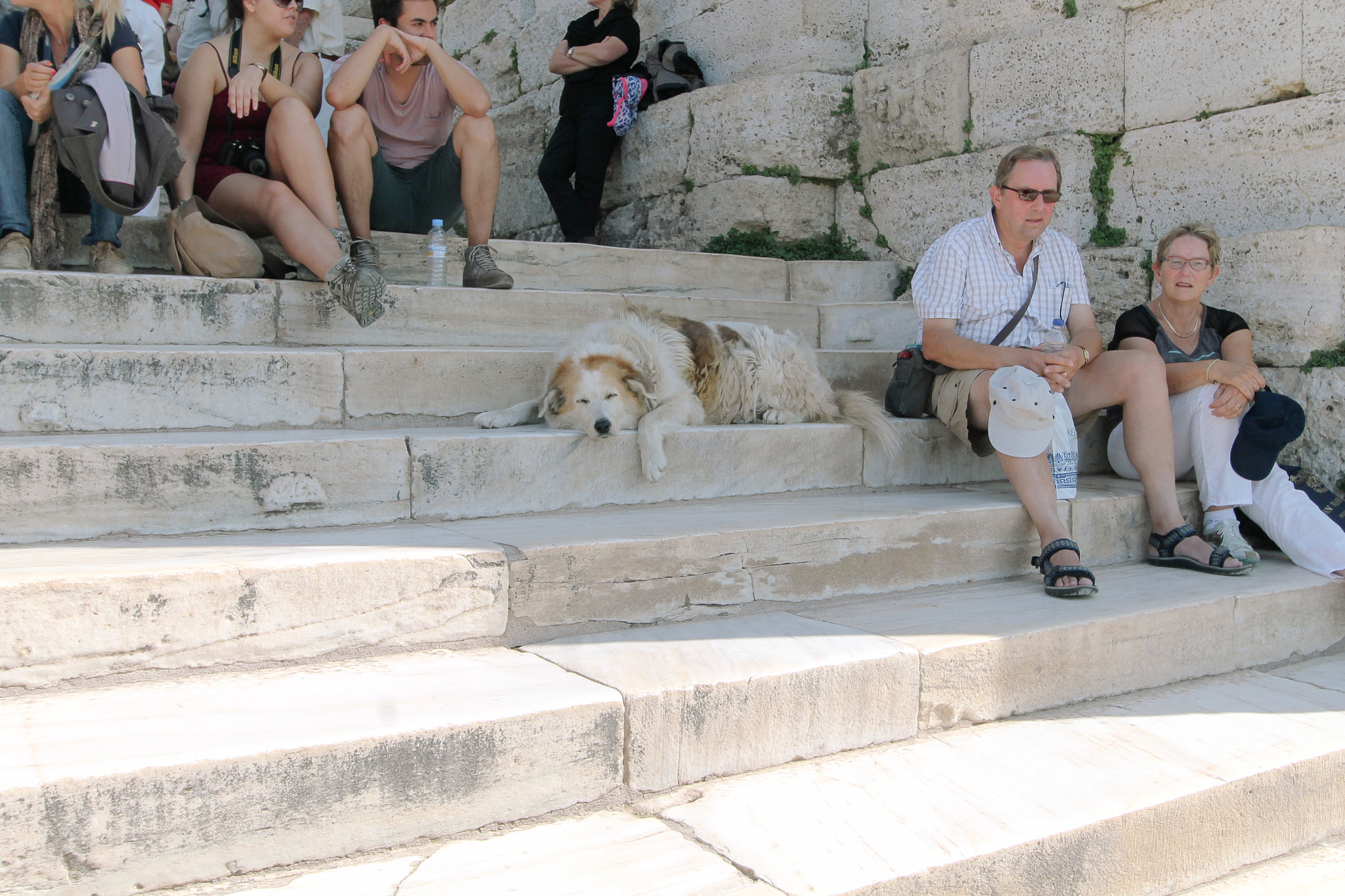 Canon EF-S 10-22mm F3.5-4.5 USM sample photo. Athenian stray photography