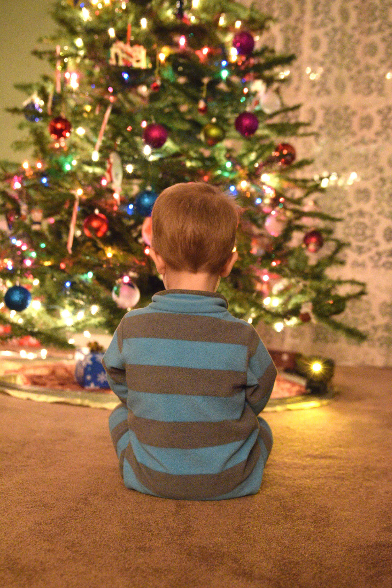 Tamron SP 24-70mm F2.8 Di VC USD sample photo. Waiting on santa photography