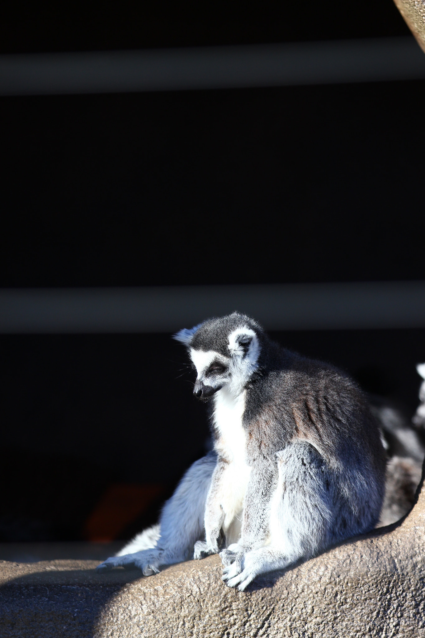 Canon EOS 600D (Rebel EOS T3i / EOS Kiss X5) sample photo. Asleep photography