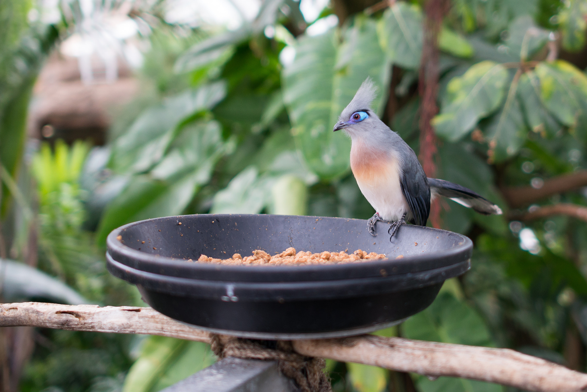 Nikon D800E + Nikon AF-S Nikkor 28mm F1.8G sample photo. Moody garden photography