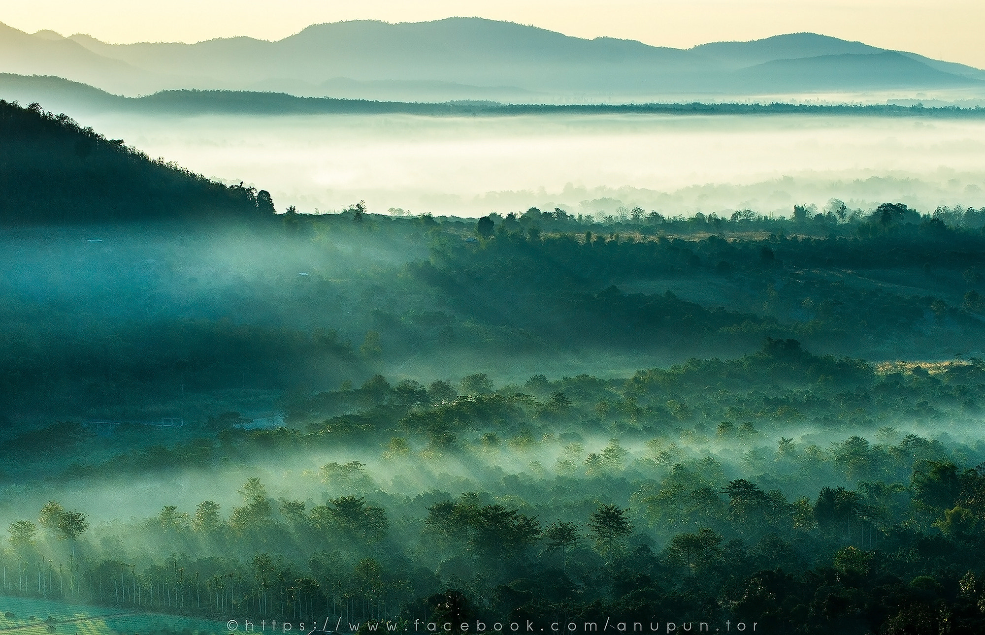 Nikon D4 sample photo. The mist photography