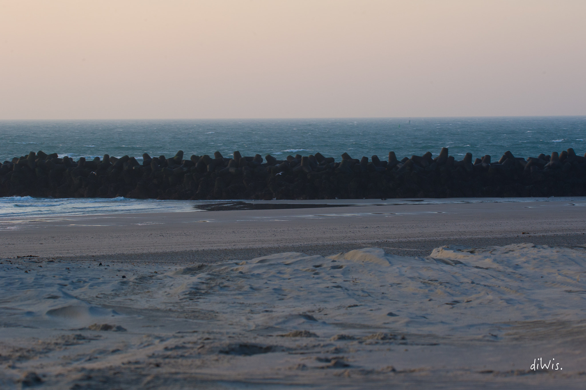 Sigma 150-600mm F5-6.3 DG OS HSM | S sample photo. Morning light photography