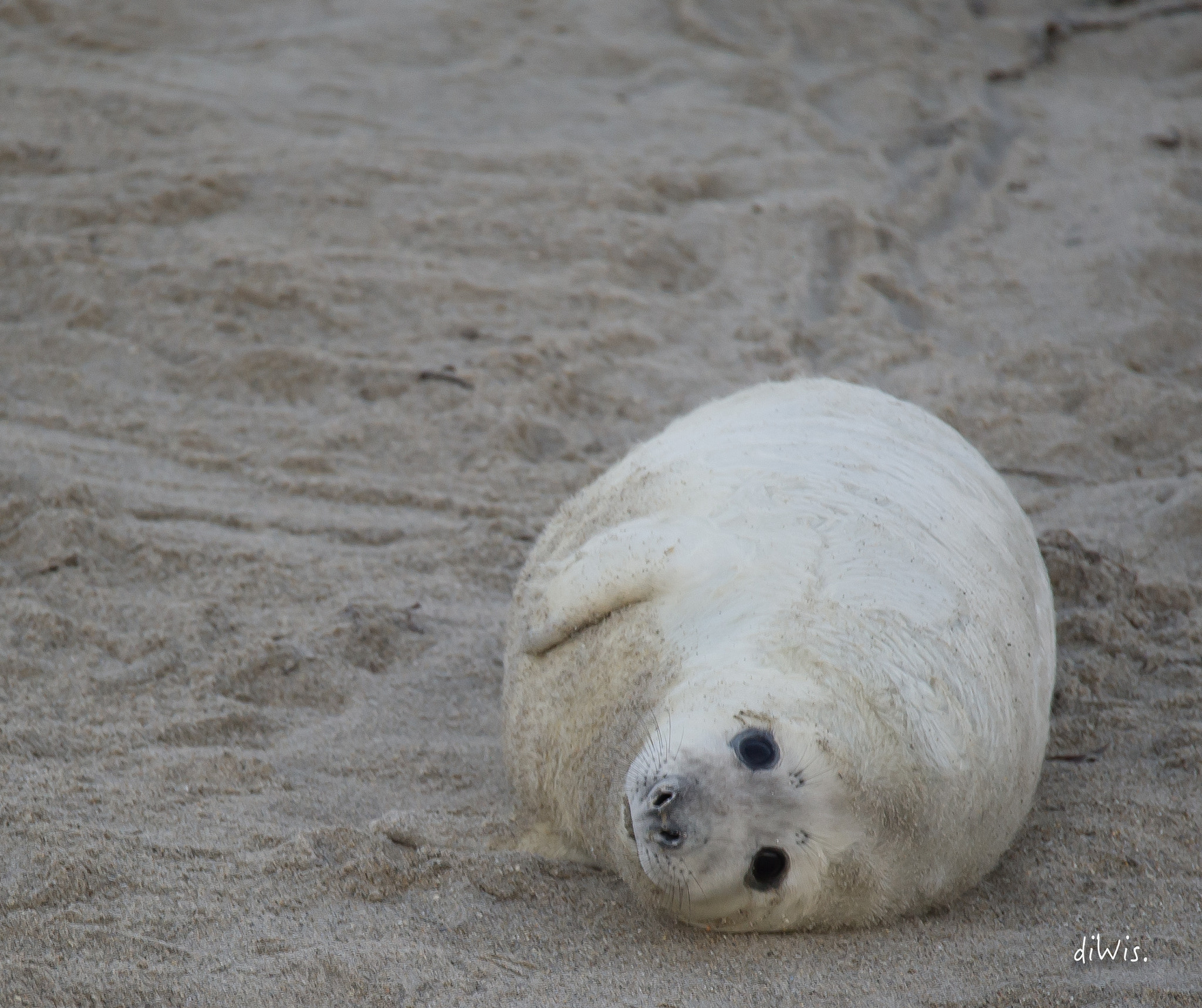 Sigma 150-600mm F5-6.3 DG OS HSM | S sample photo. Relaxe photography
