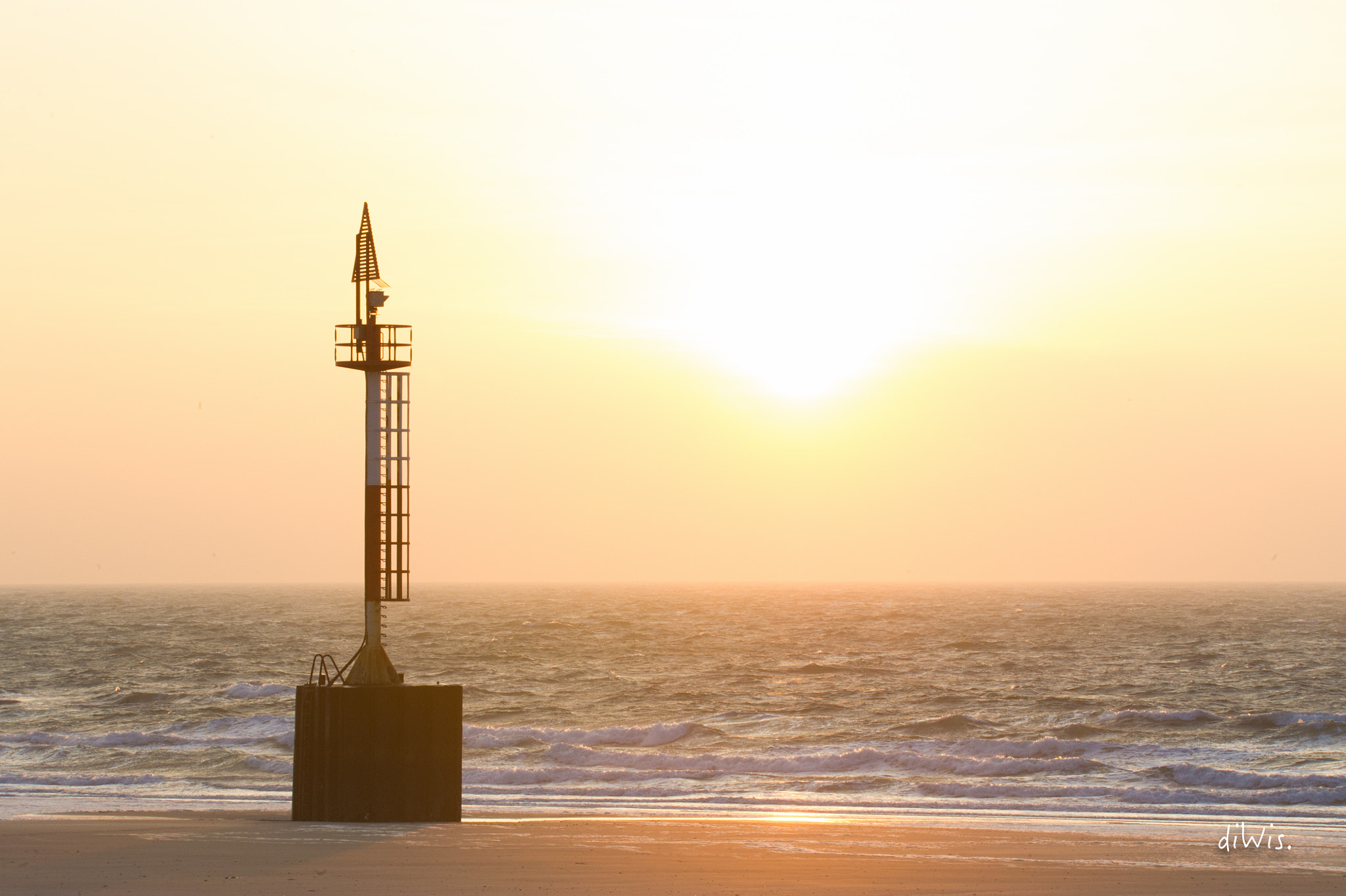 Sigma 150-600mm F5-6.3 DG OS HSM | S sample photo. Morning light photography