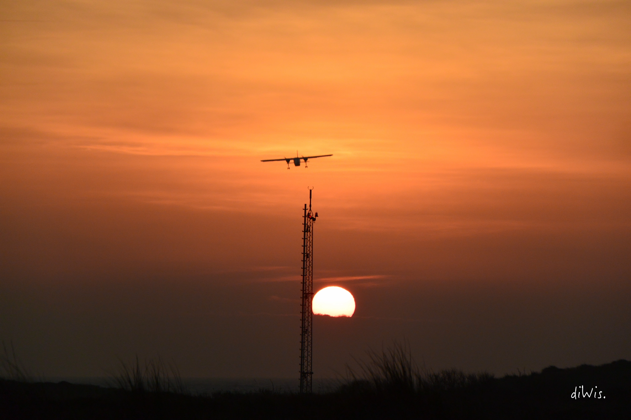 1 NIKKOR VR 10-100mm f/4-5.6 sample photo. Fly away, dream your dream photography