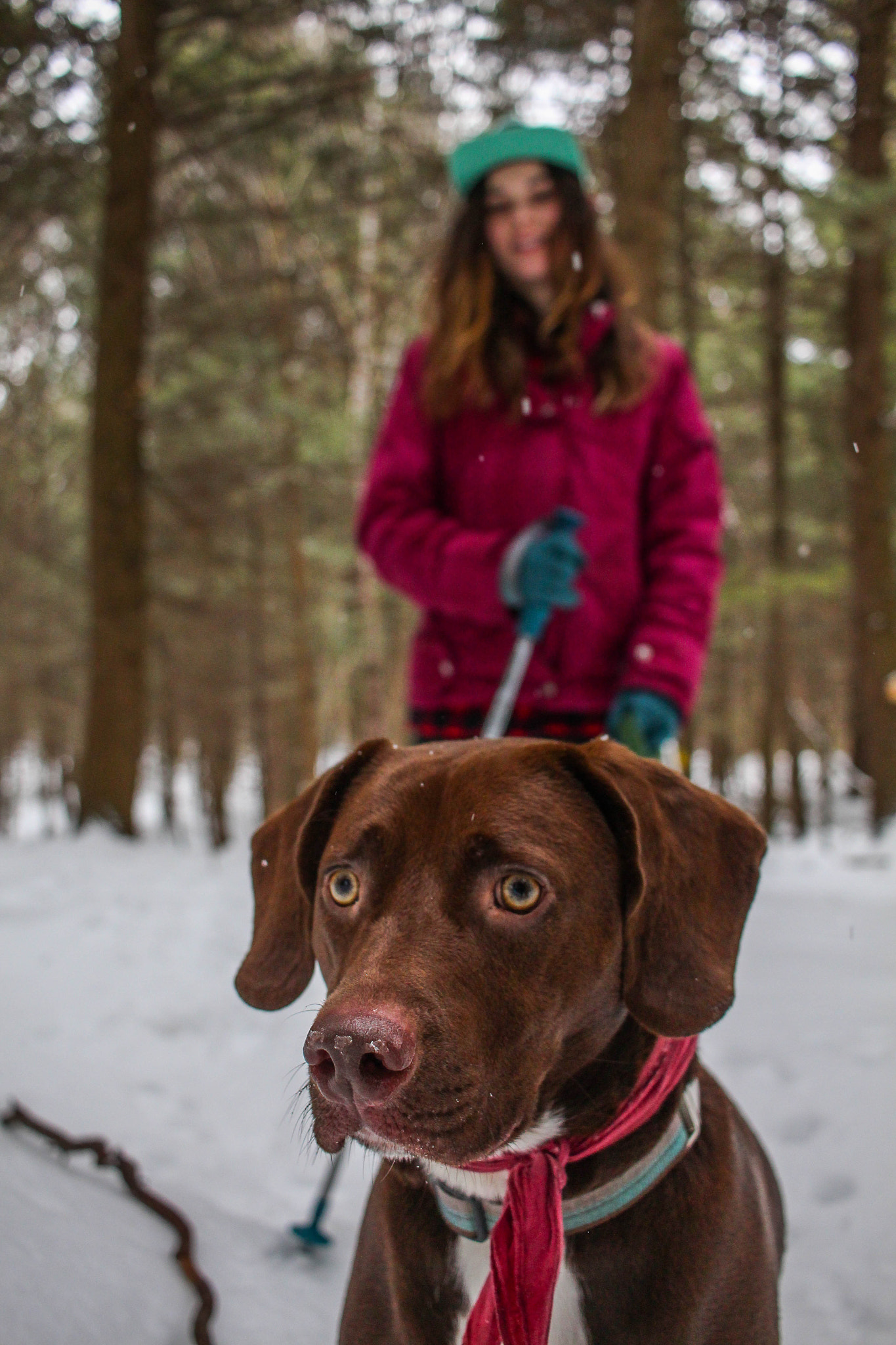 Canon EF-S 24mm F2.8 STM sample photo. Brixton and betsey photography