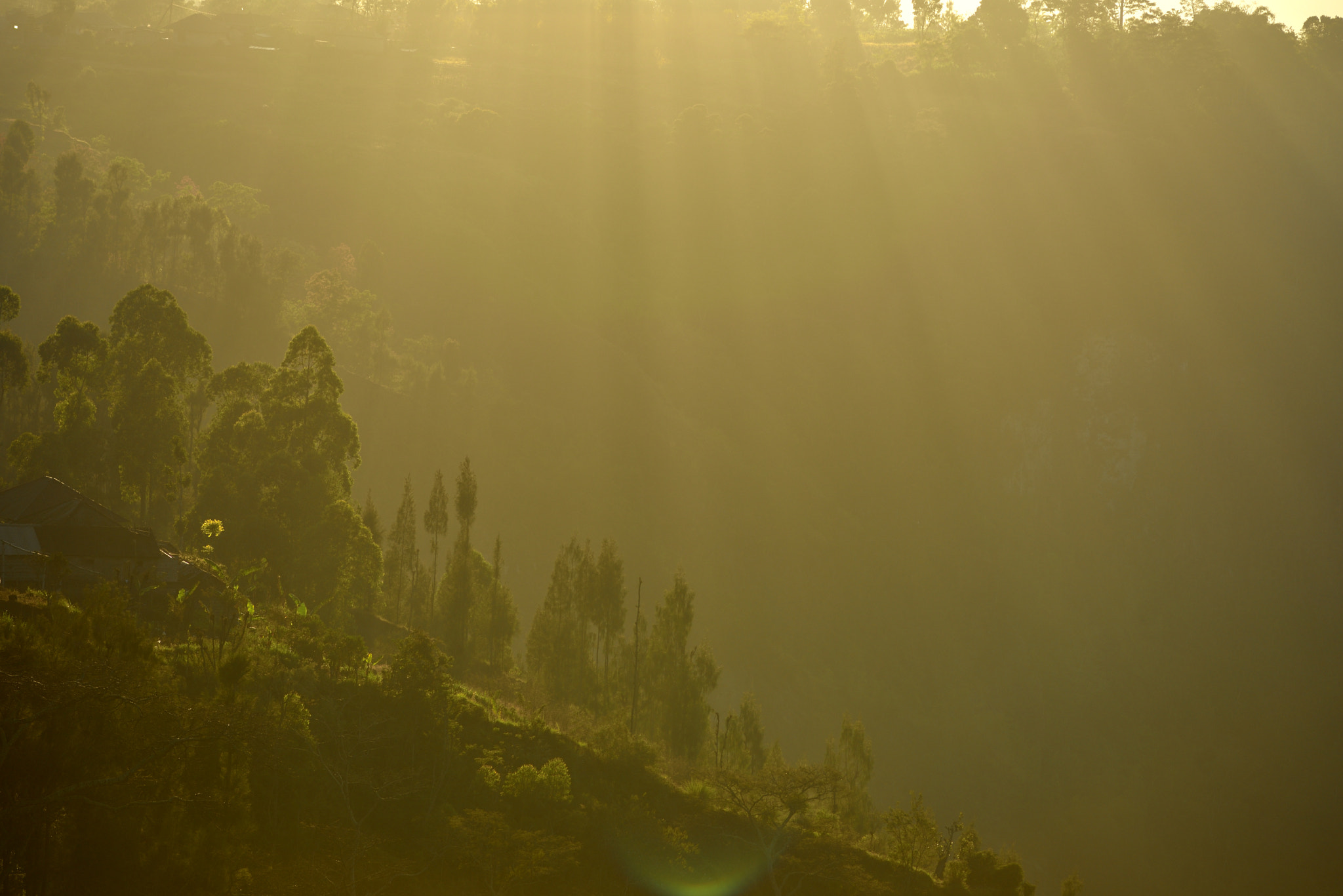 Nikon D750 + Nikon AF Nikkor 180mm F2.8D ED-IF sample photo. Morning ray photography