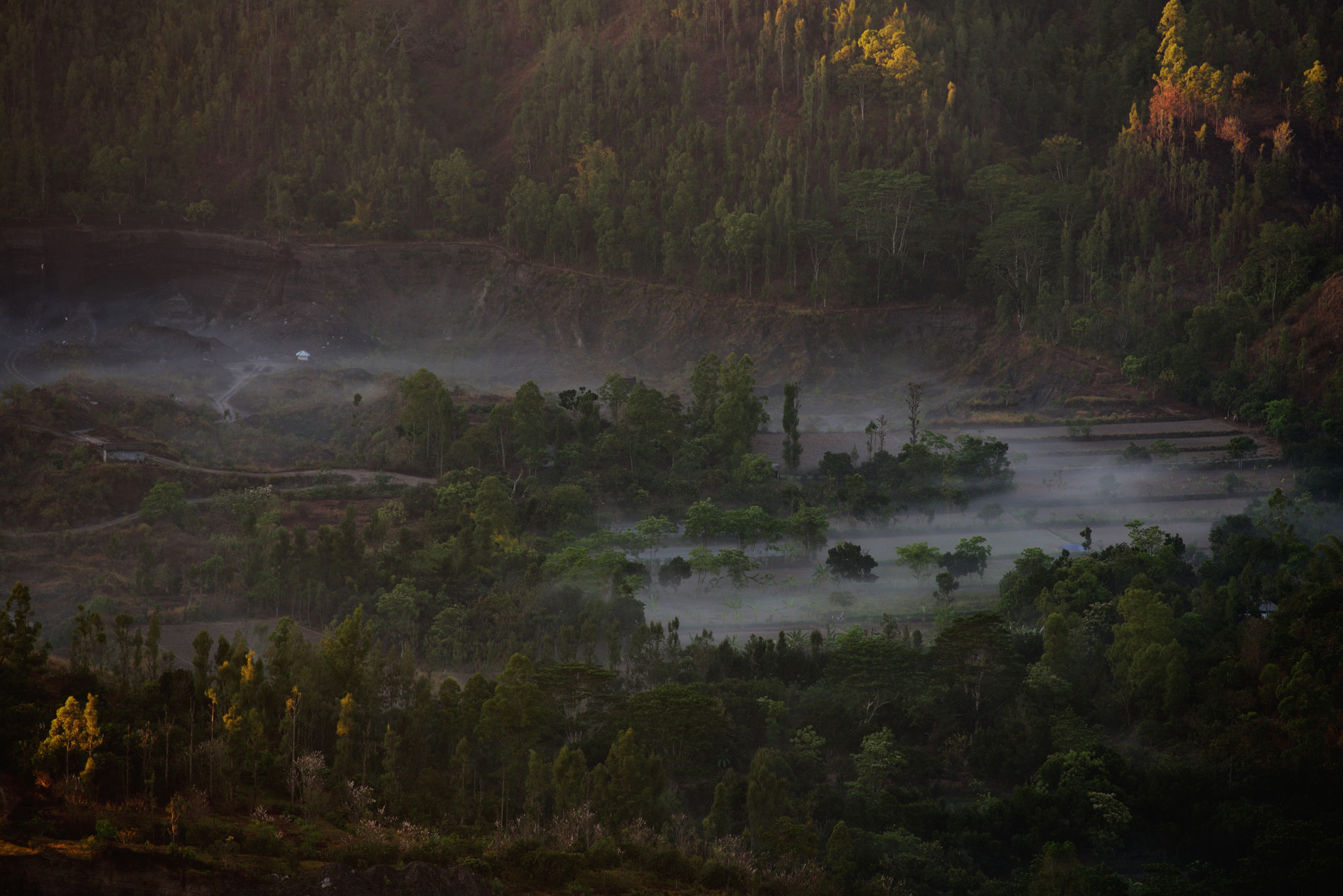 Nikon D750 + Nikon AF Nikkor 180mm F2.8D ED-IF sample photo. Morning mist photography