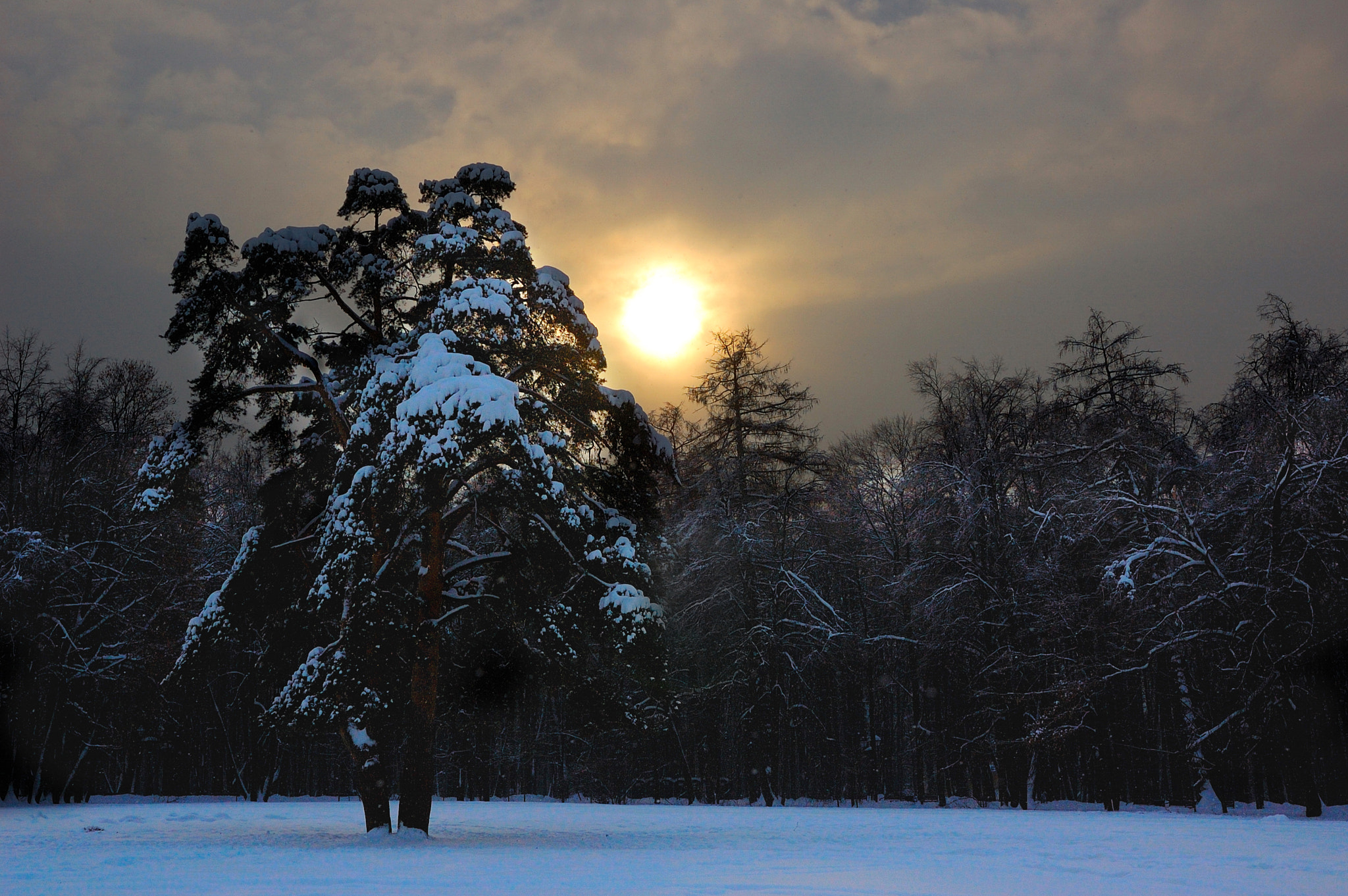 Nikon D40 + Sigma 18-50mm F2.8 EX DC Macro sample photo. Winter evening photography