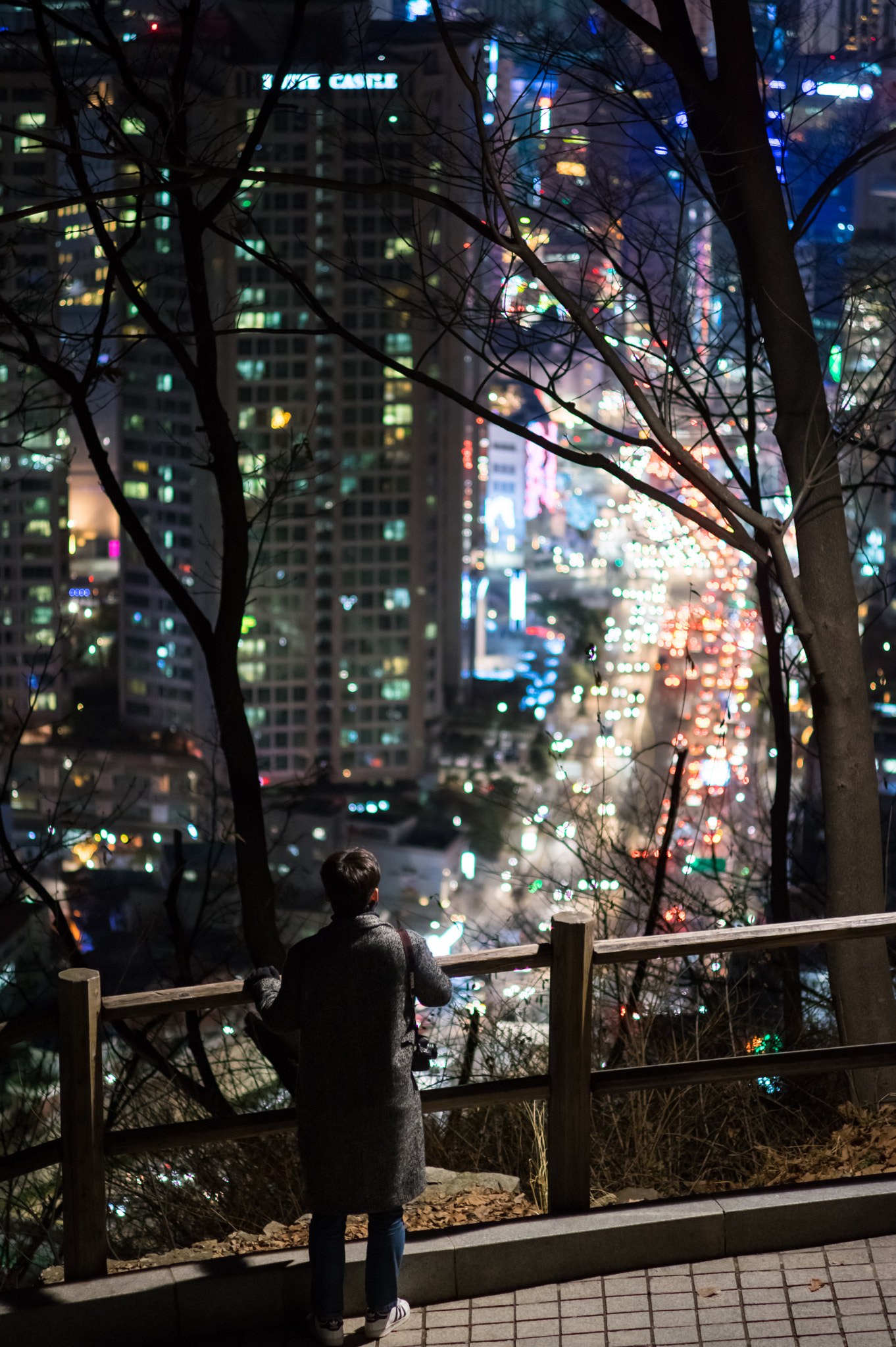Pentax K-3 + HD Pentax DA 70mm F2.4 AL Limited sample photo. Seoul, korea photography