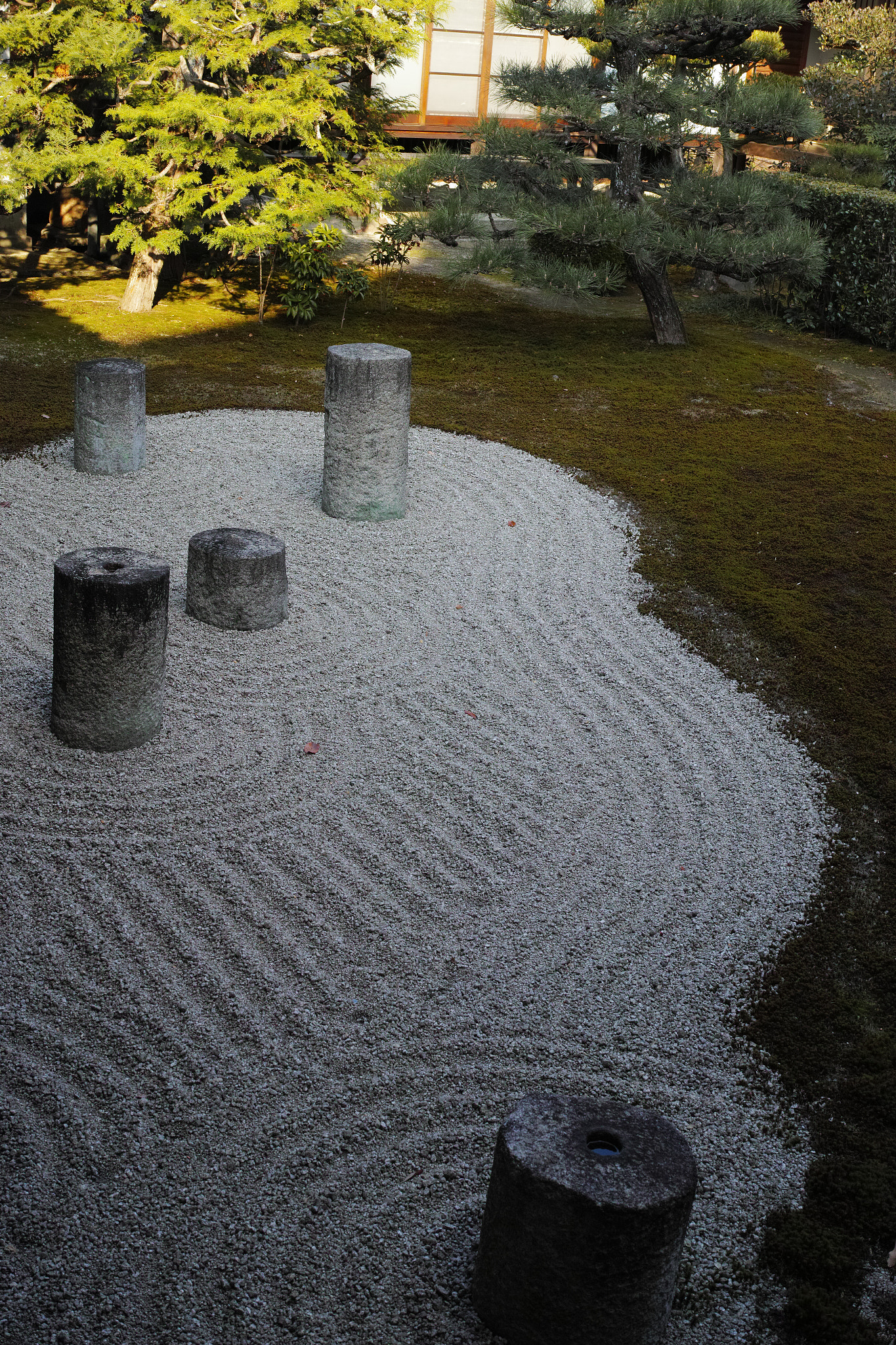 Sigma dp2 Quattro + 1007 sample photo. Influence photography