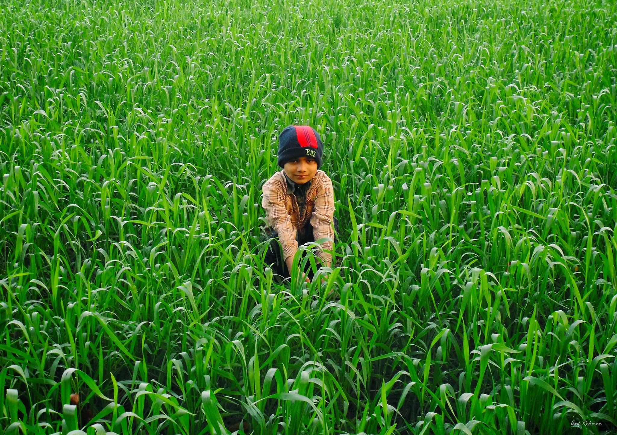 Sony DSC-W670 sample photo. The farmer boy photography