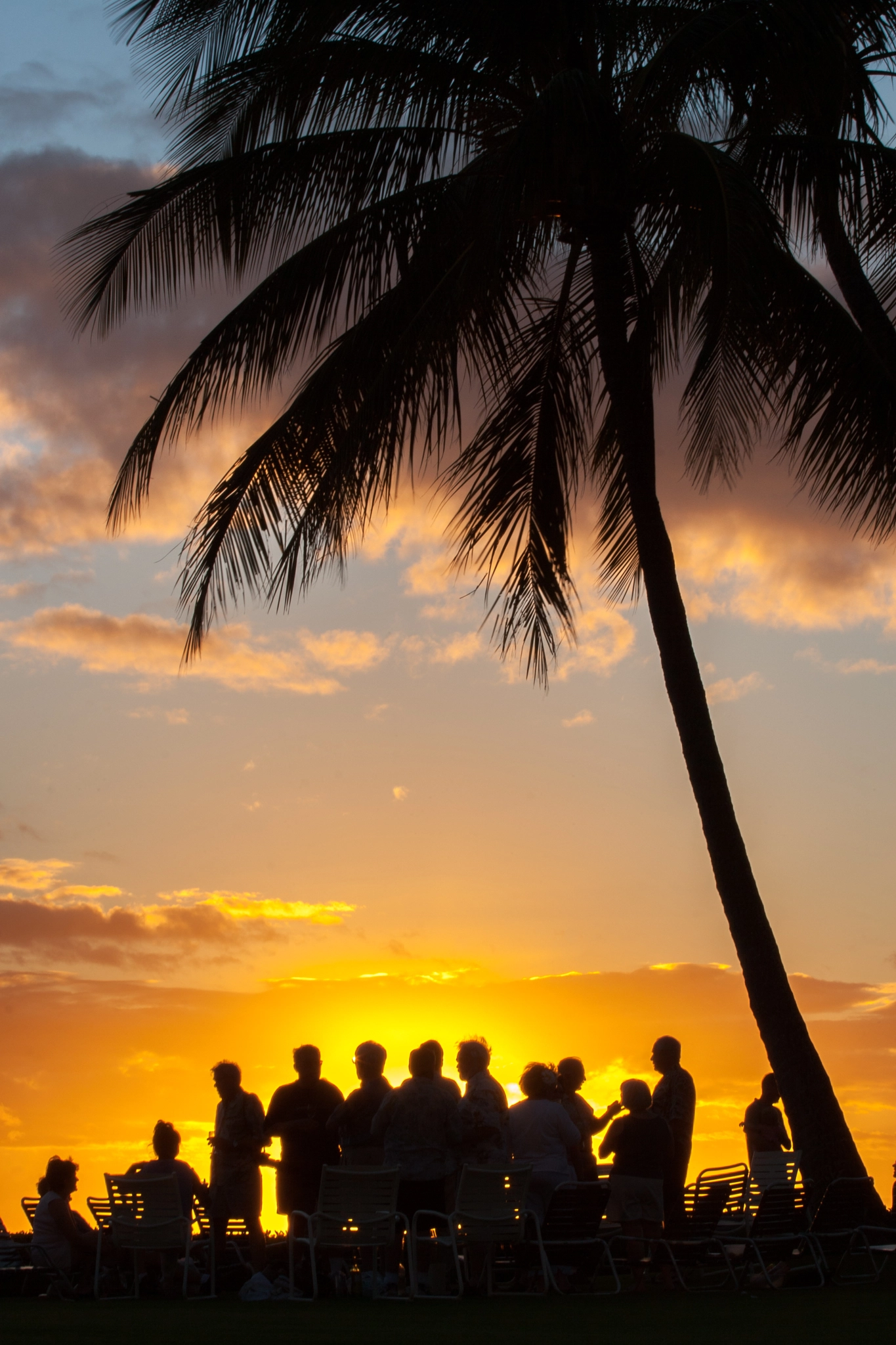 Canon EOS 30D sample photo. The sunset gathering photography
