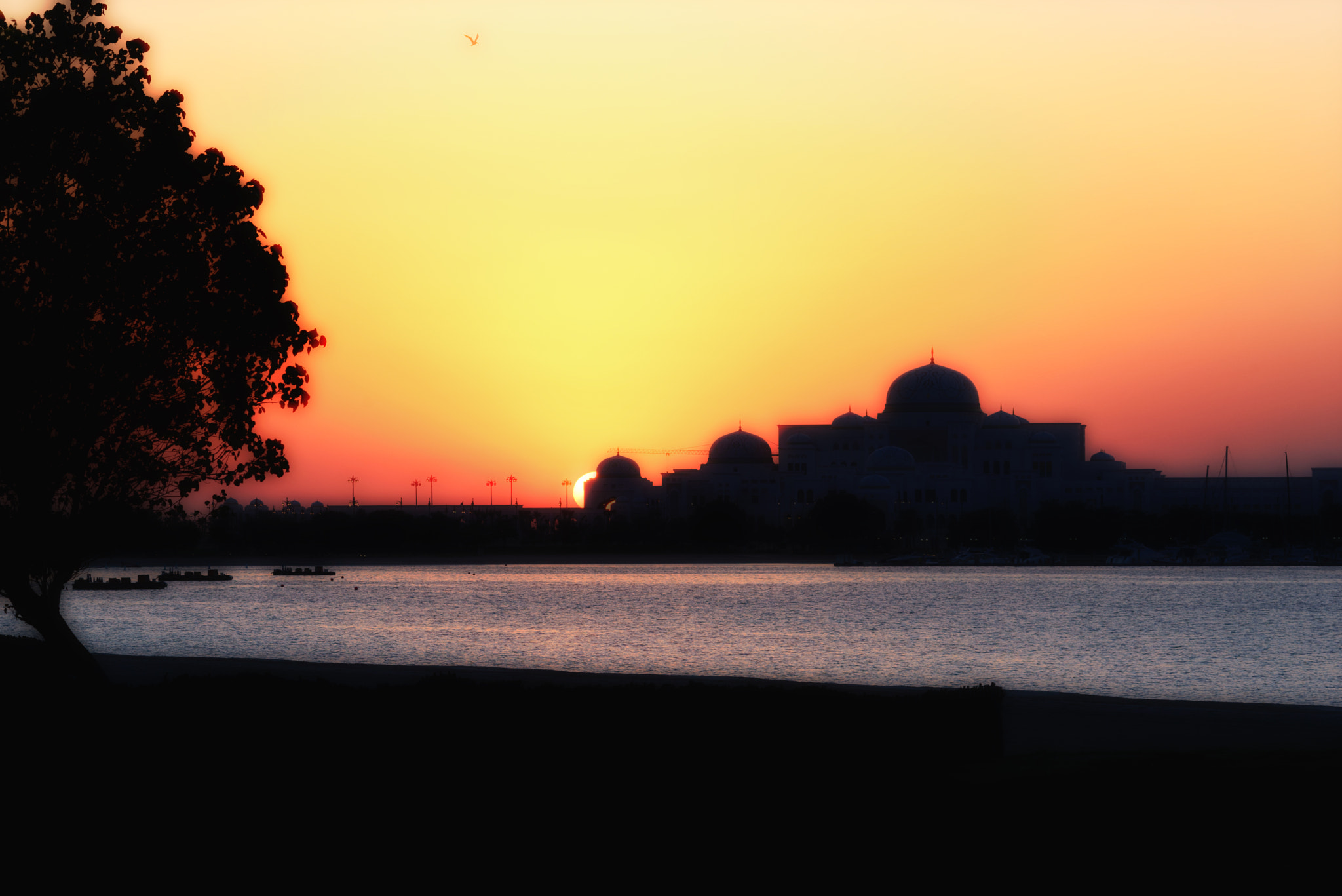 AF DC-Nikkor 135mm f/2D sample photo. Last sunset 2015 photography