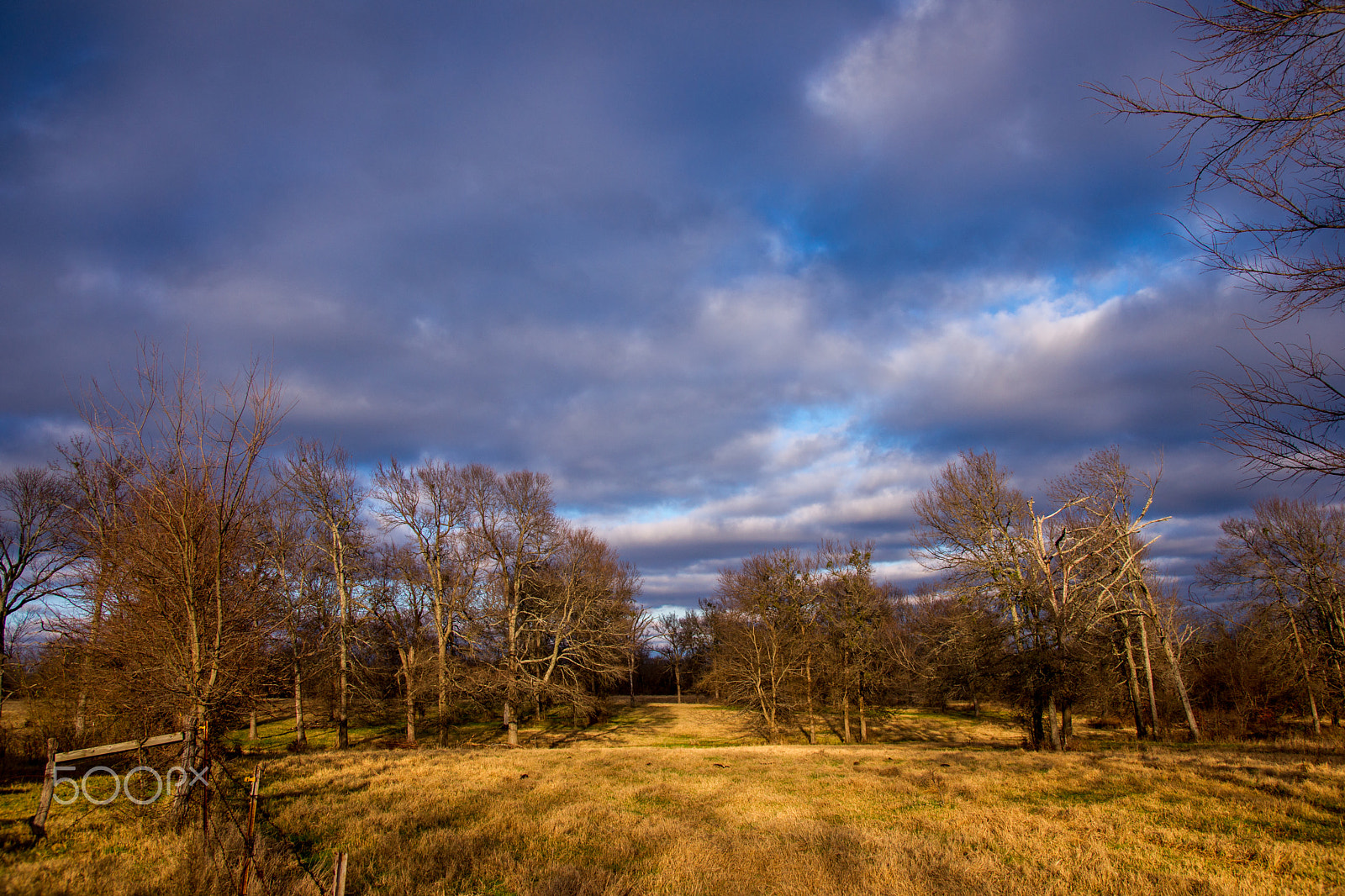 Sony Alpha DSLR-A850 sample photo. Ranch land photography