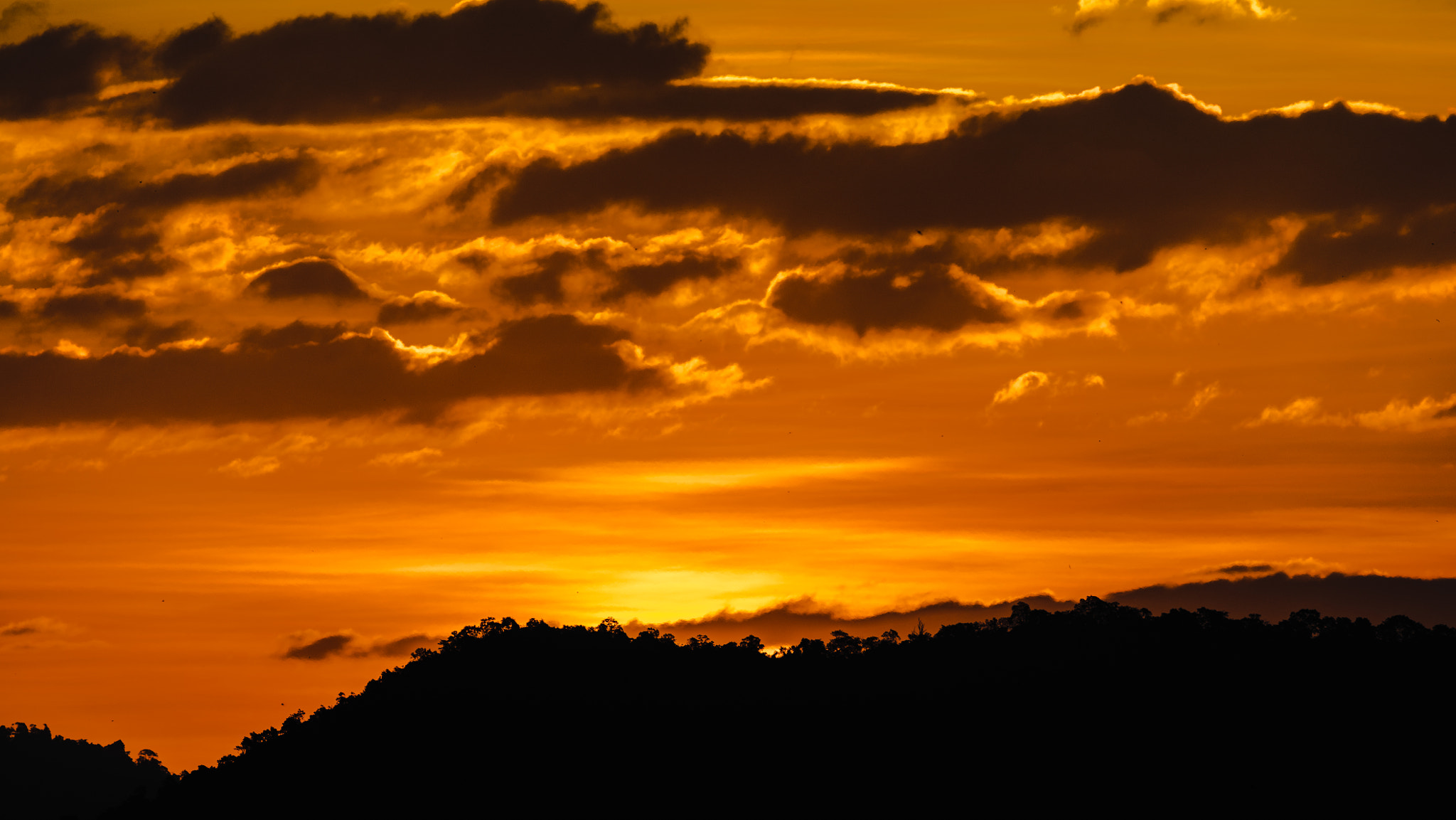 Canon EF 200-400mm F4L IS USM Extender 1.4x sample photo. Daybreak  photography