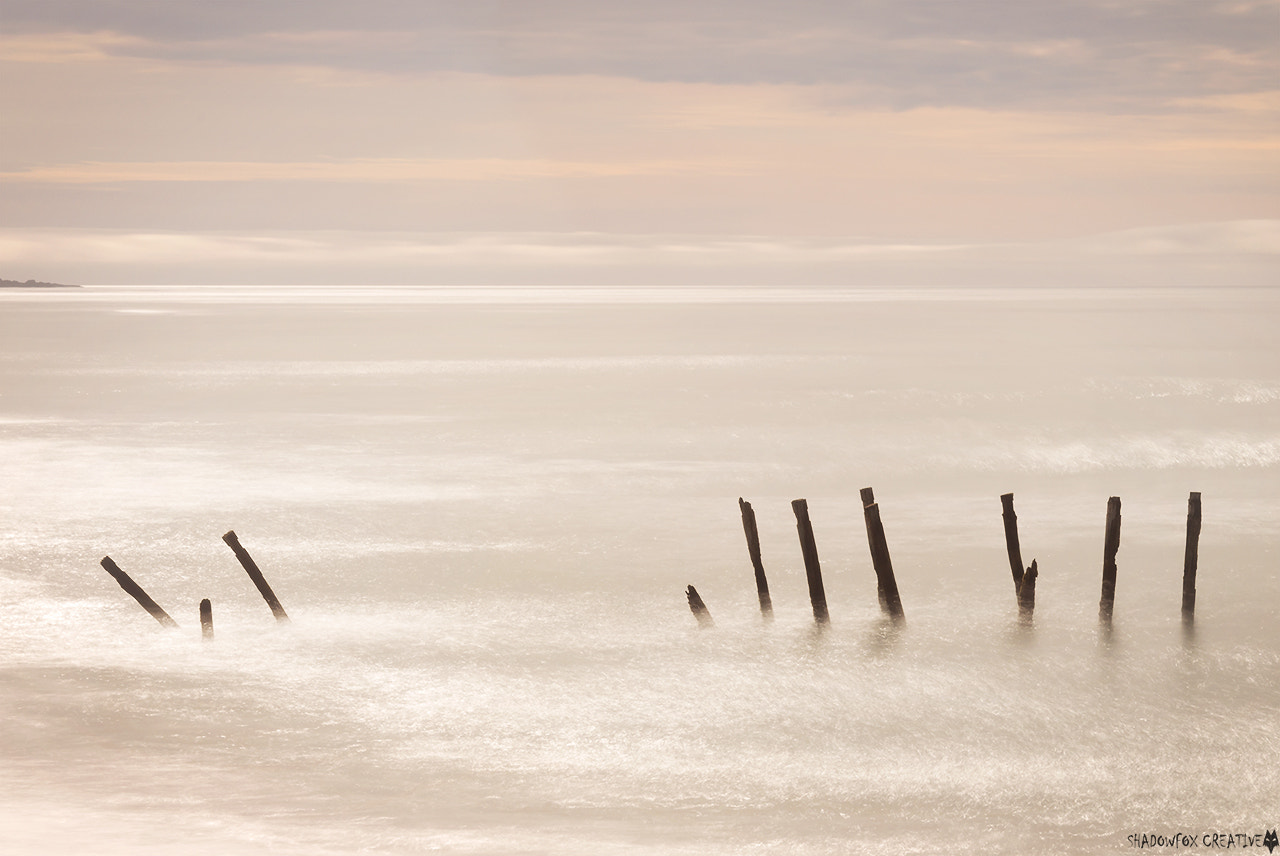 Canon EF 28-90mm f/4-5.6 sample photo. St clair poles photography
