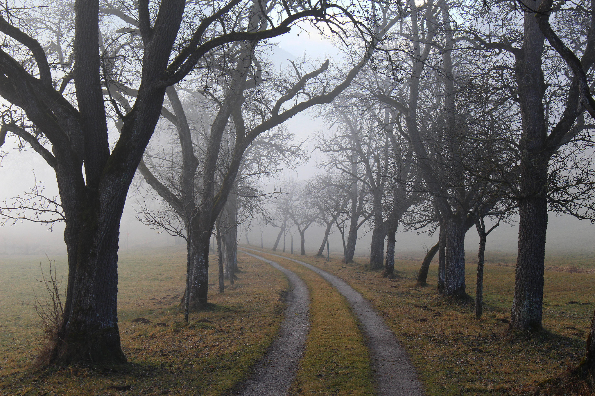 mystic avenue