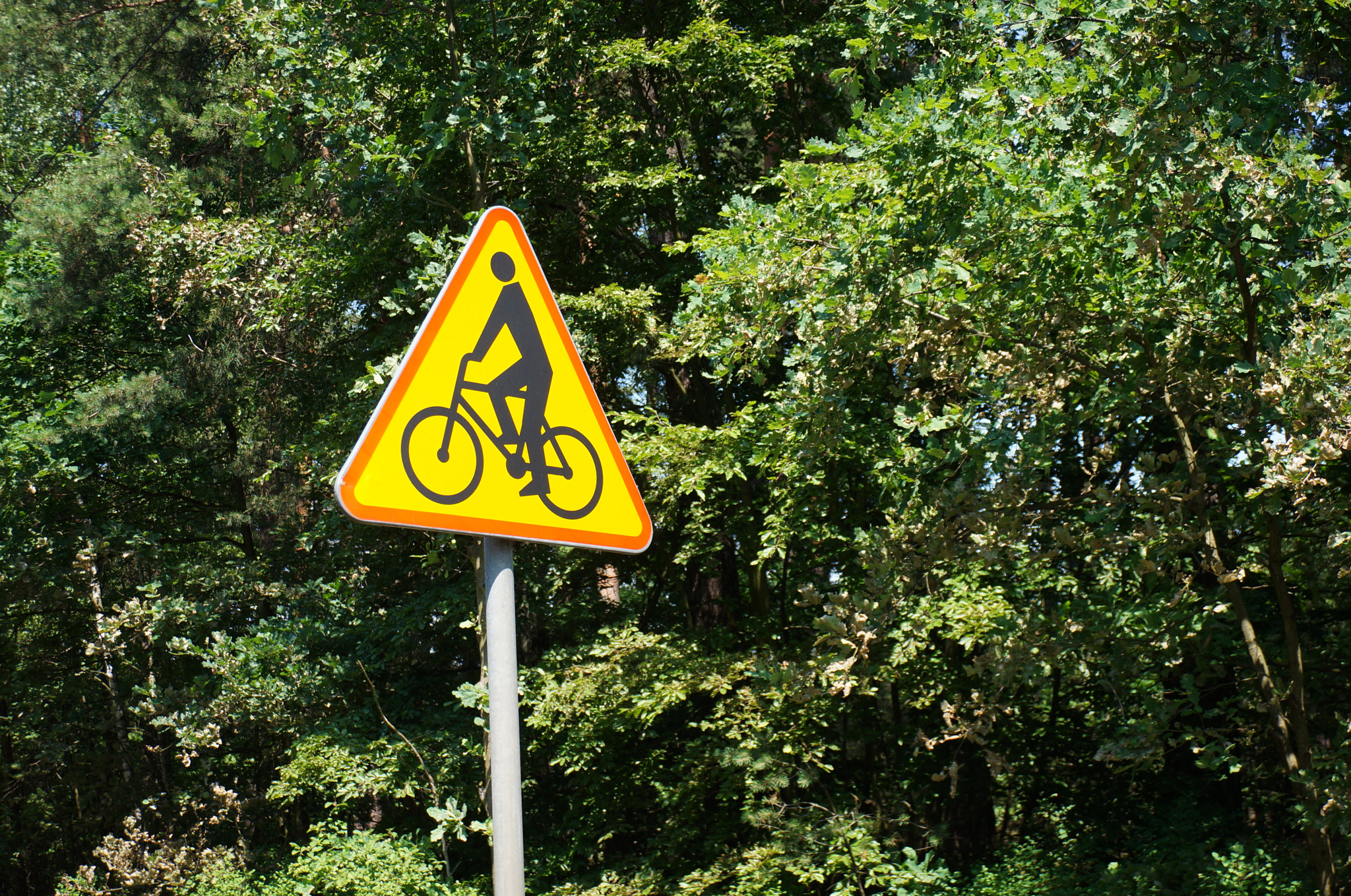 Sony Alpha NEX-5N + Sony E 18-50mm F4-5.6 sample photo. Bicycle sign photography