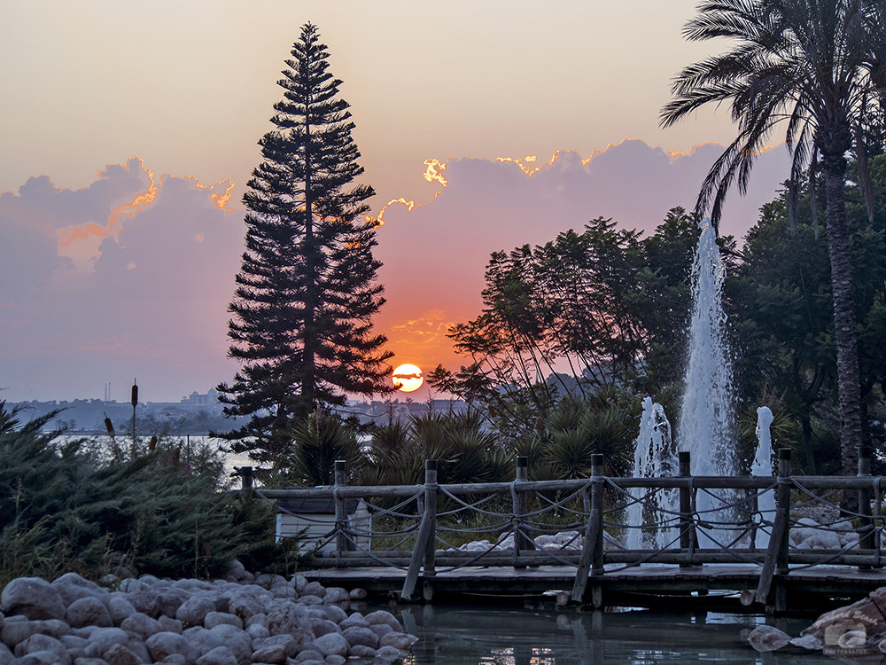 Olympus PEN E-PL7 sample photo. Sunset photography