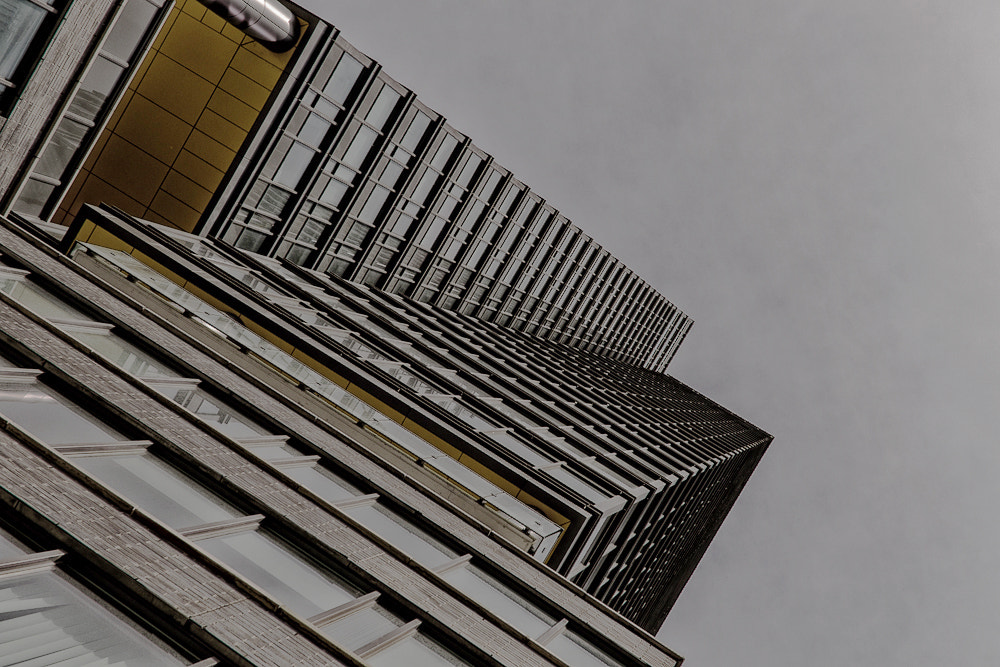 ZEISS Touit 32mm F1.8 sample photo. Reaching the sky photography