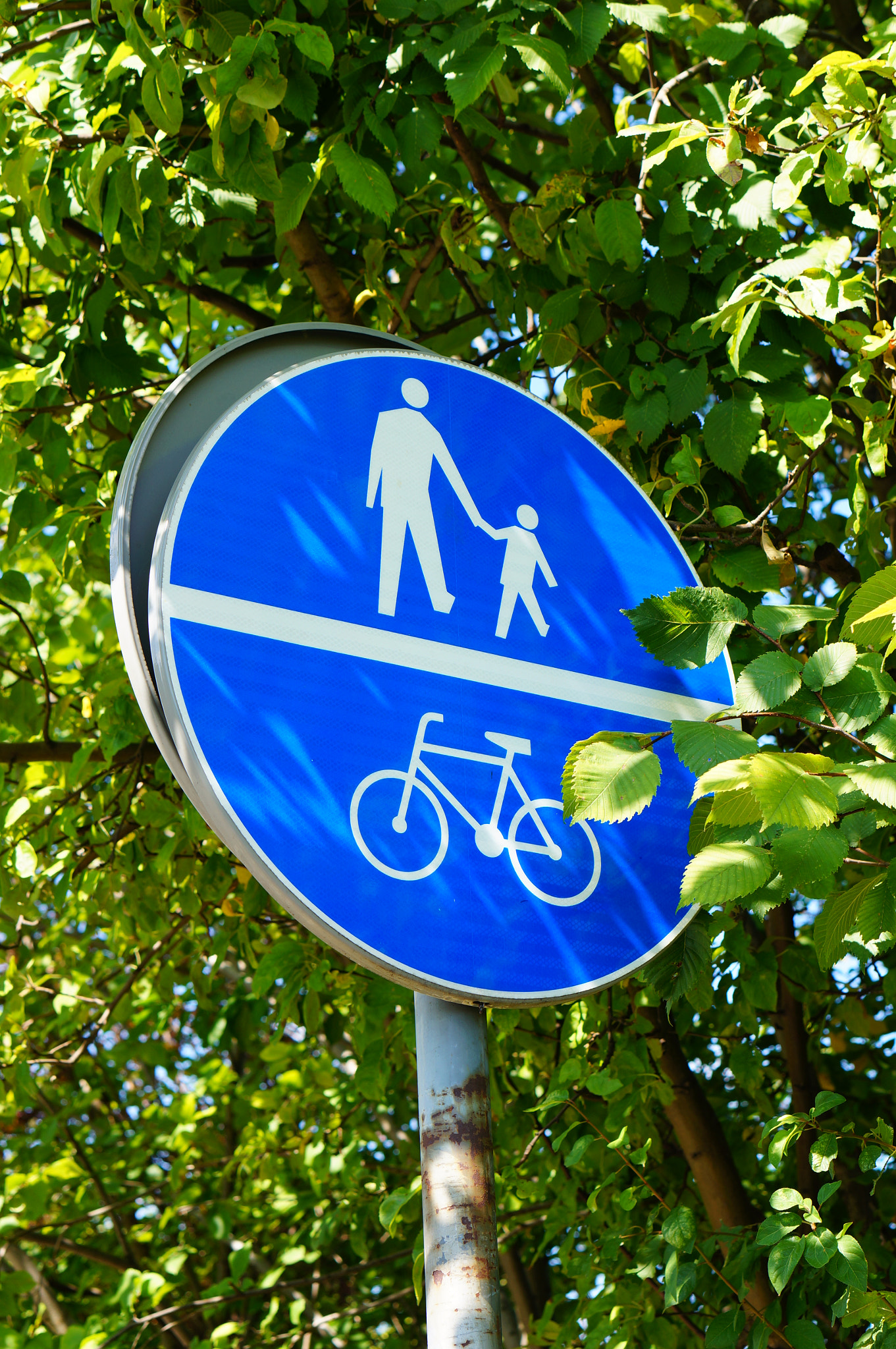 Sony Alpha NEX-5N + Sony E 50mm F1.8 OSS sample photo. Pedestrian sign photography